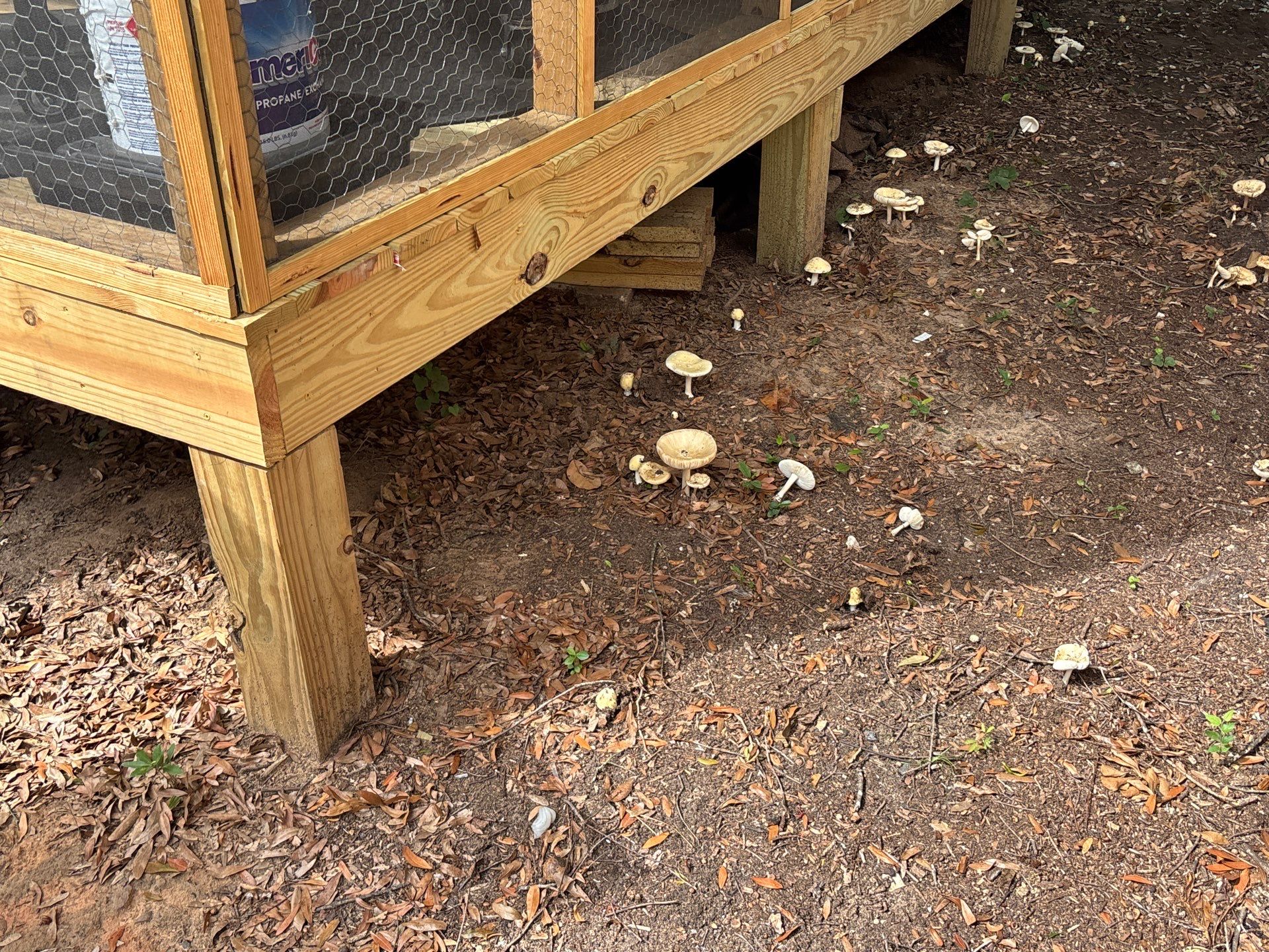 Deck using Wood Sealant by DuraSeal