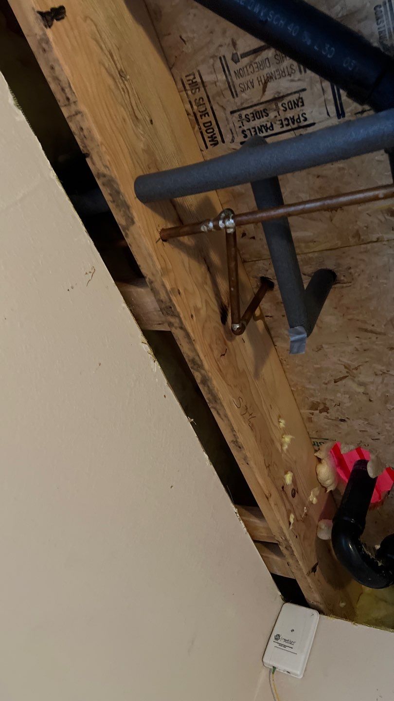 Water Damage and Mold Remediation by Accountable Home Services