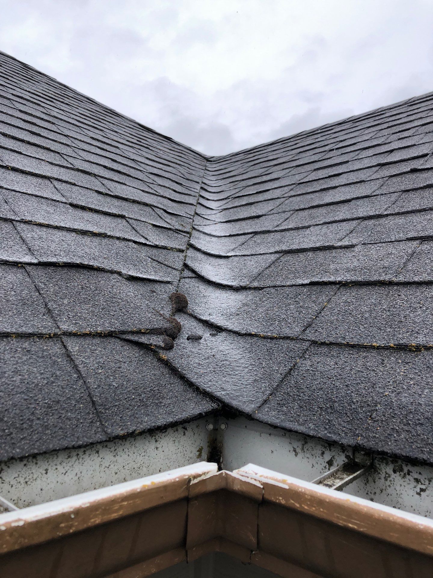 Project in Bellingham by Peaks and Valleys Construction