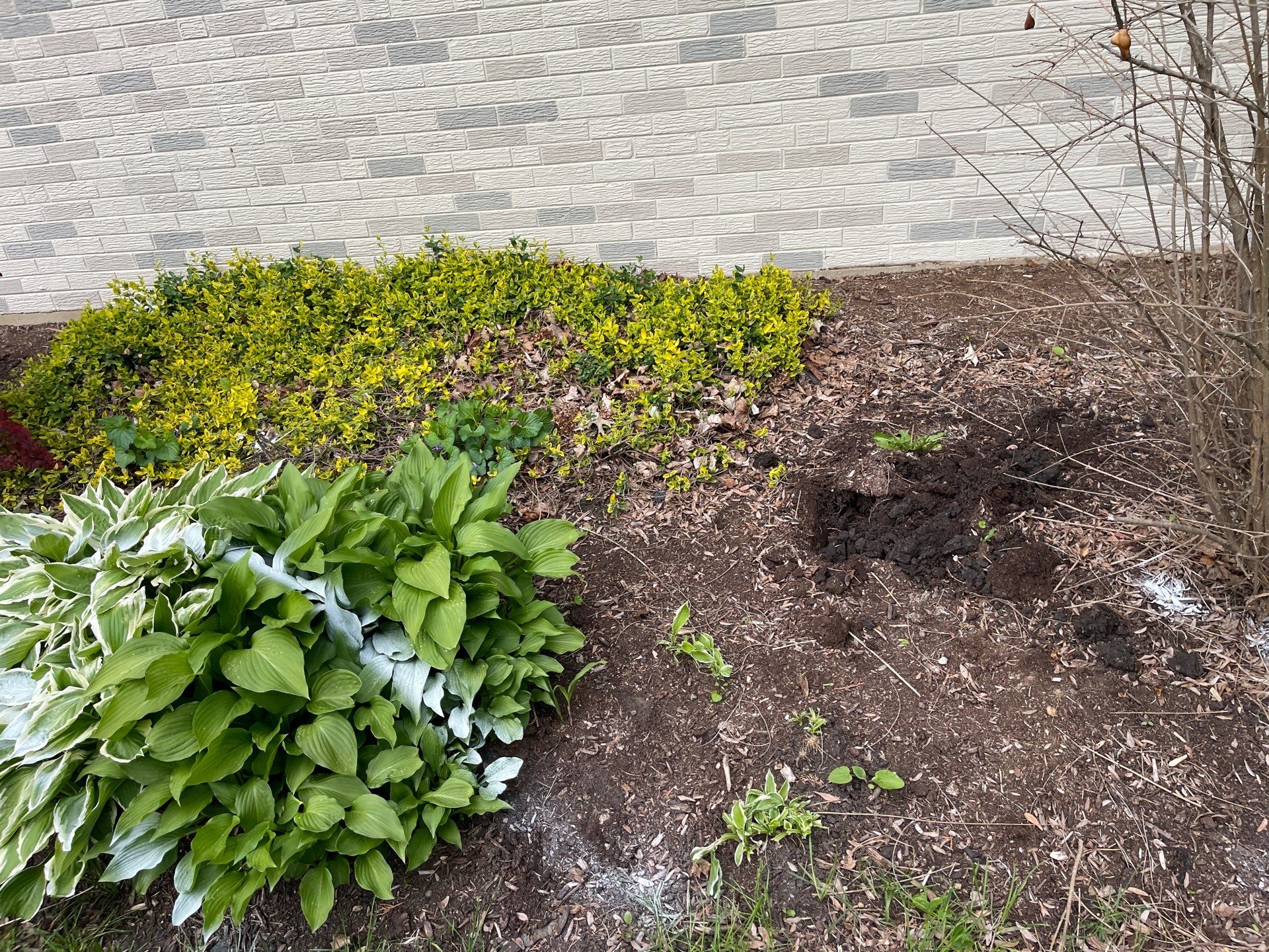 James F. - Arlington Heights, IL by A&N