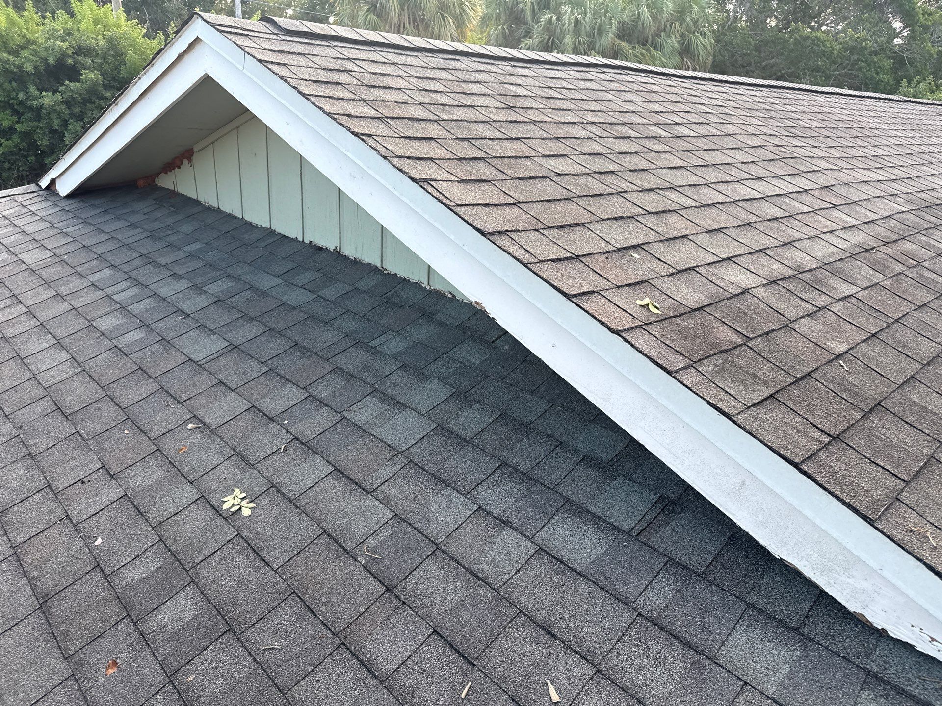 Complete Roof, Pool Deck, and Driveway Cleaning in Catalina Community, Bradenton, FL by Sunshine AquaWash