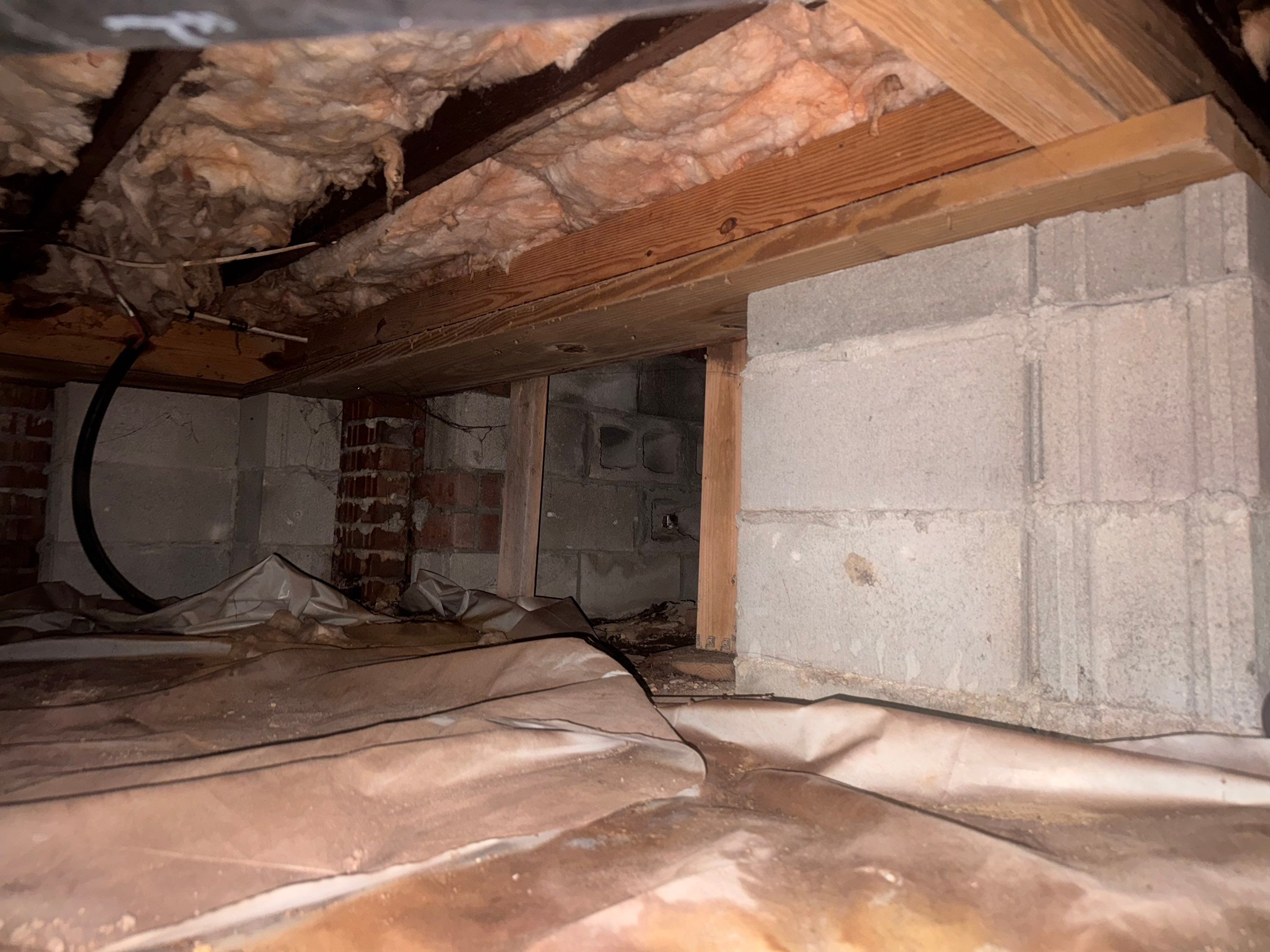 Moisture Barrier, Mold Clean, Structural Repair, Dehumidifier, R19 Insulation. by Impact Crawlspace