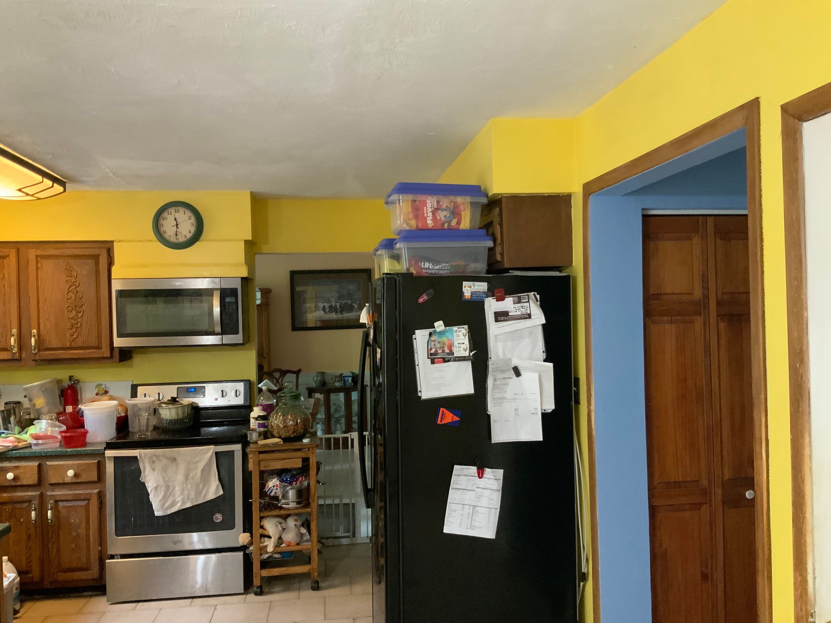 Ceiling Repair by Alpha Design Services