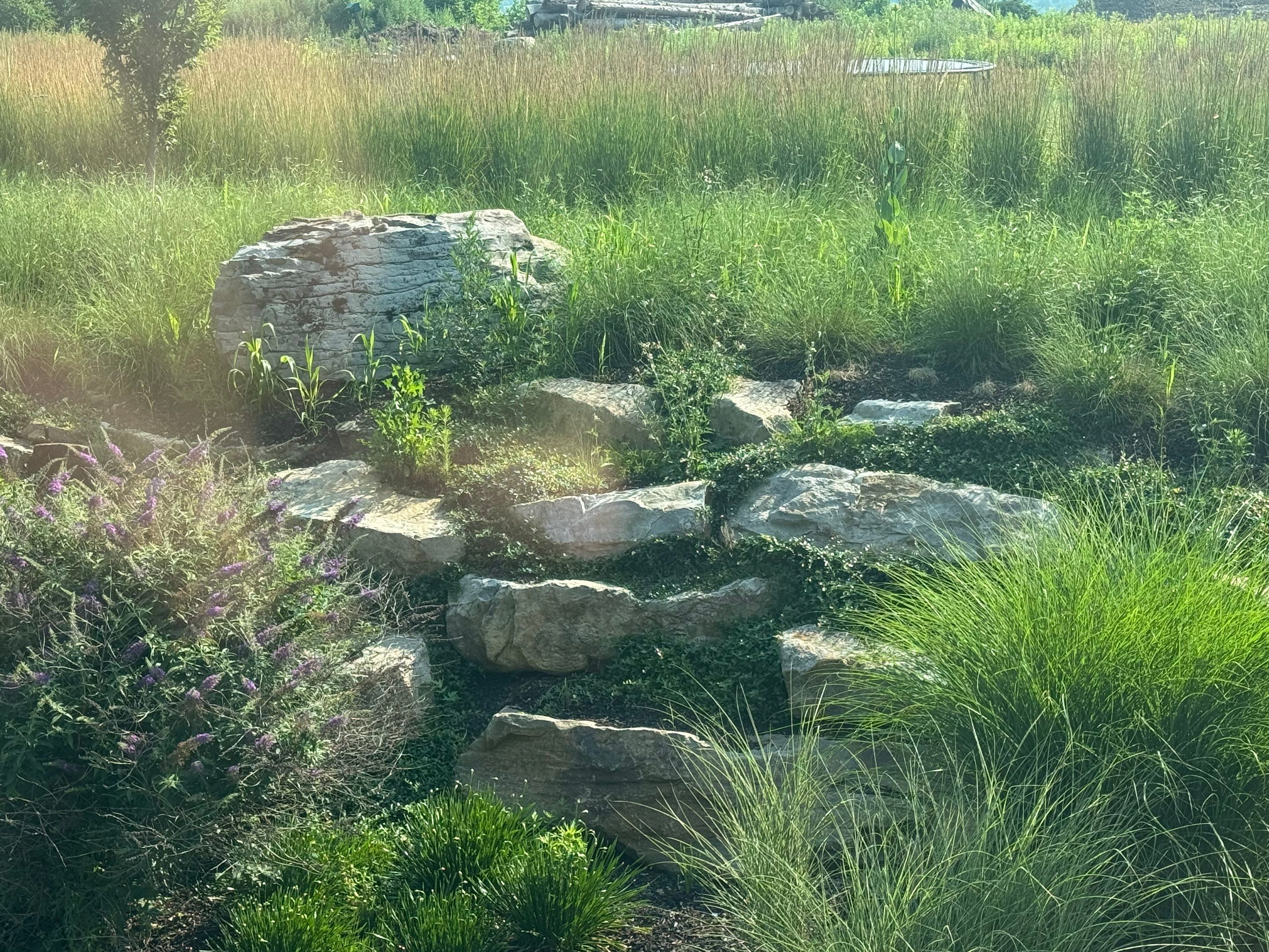 Red Cedar Landscapes, Inc featured photo.