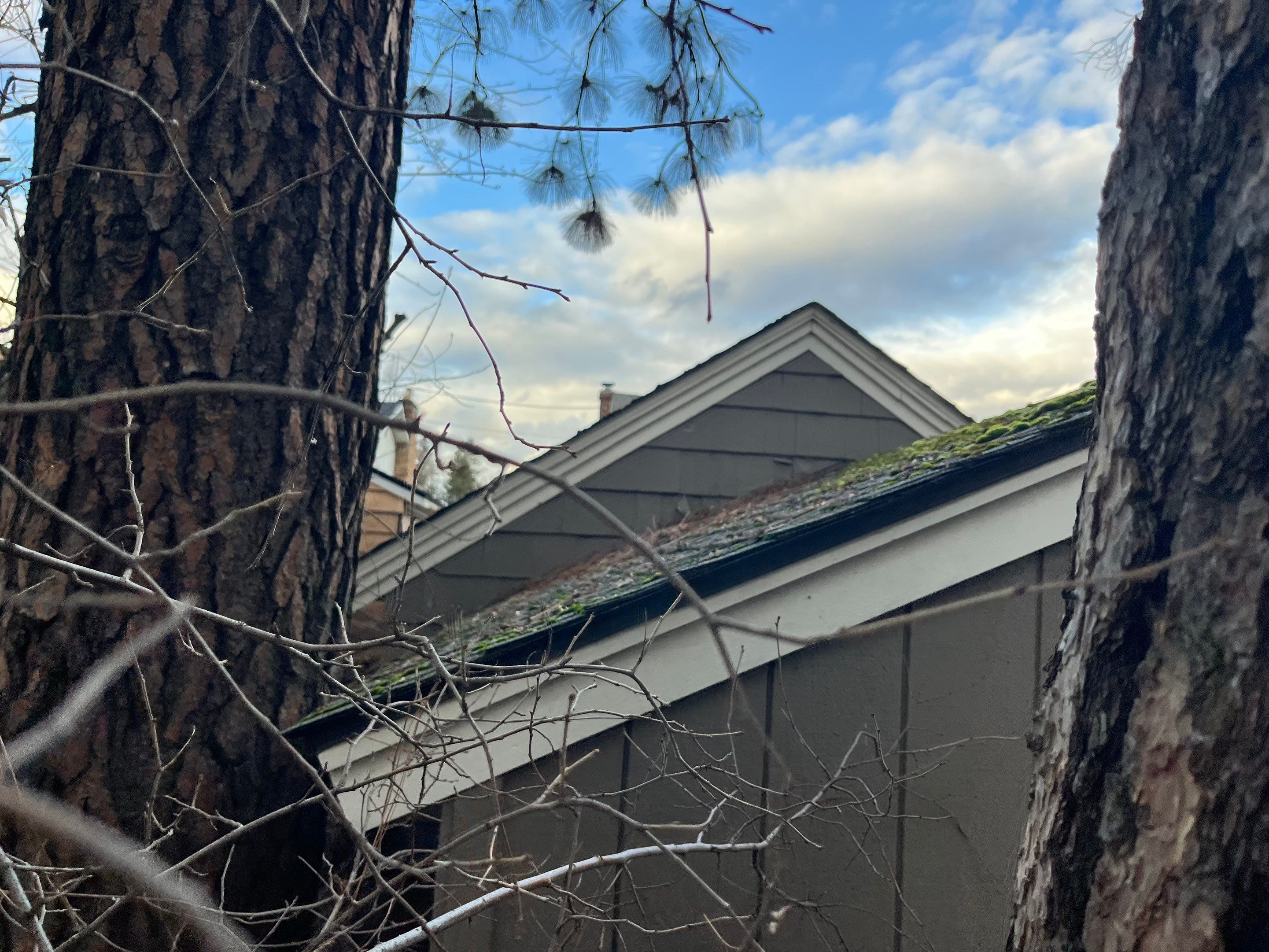 Project in Spokane by Peaks and Valleys Construction