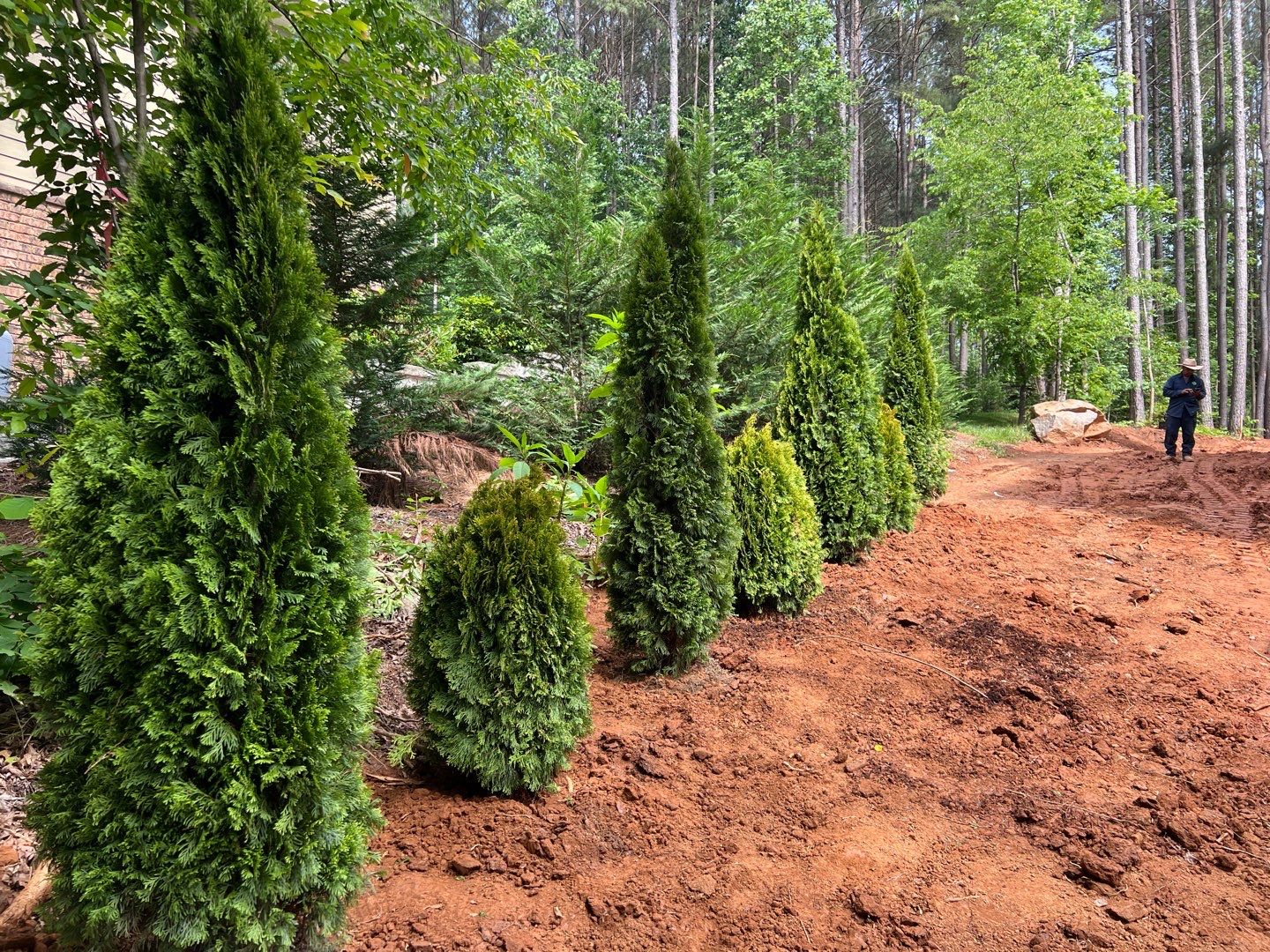 New Construction in Denver by Growing Edge Landscape & Design, Inc.