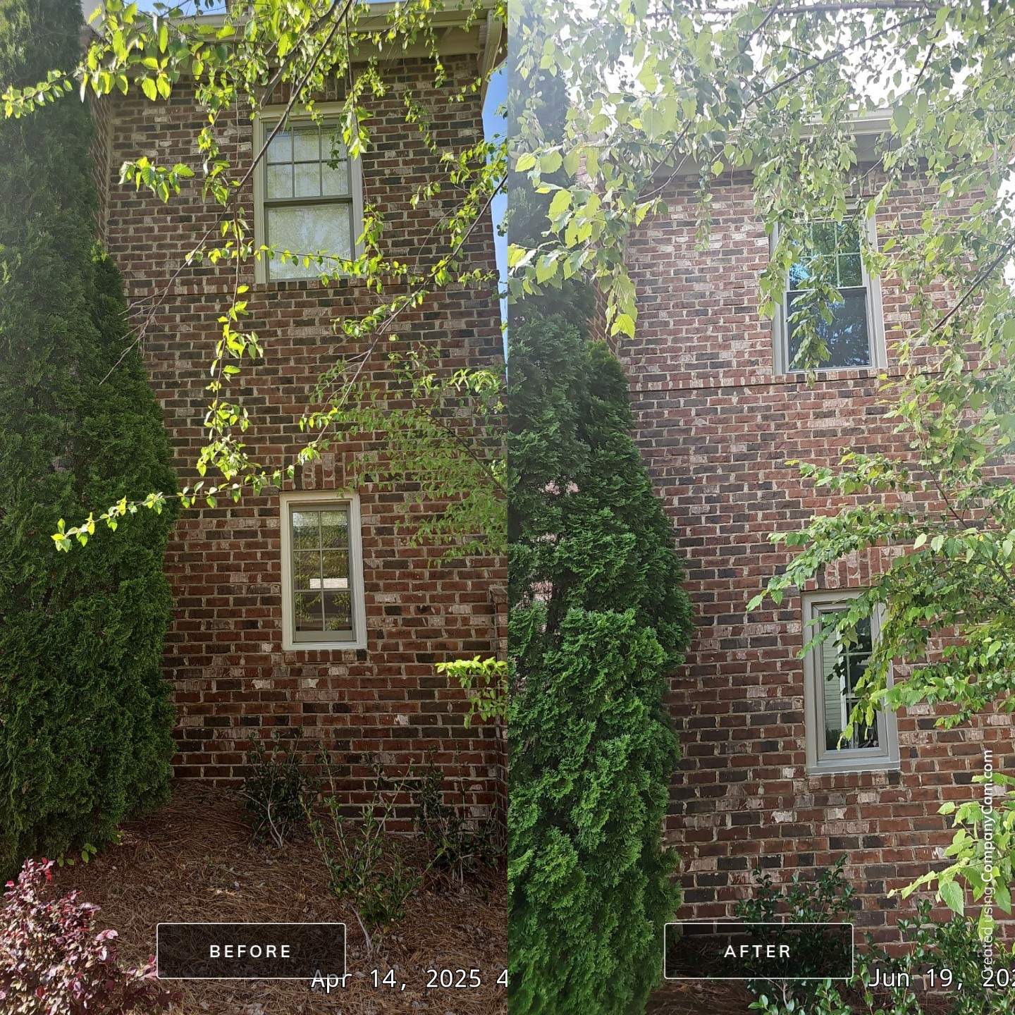 Steele Project in Hoover by The Window Source