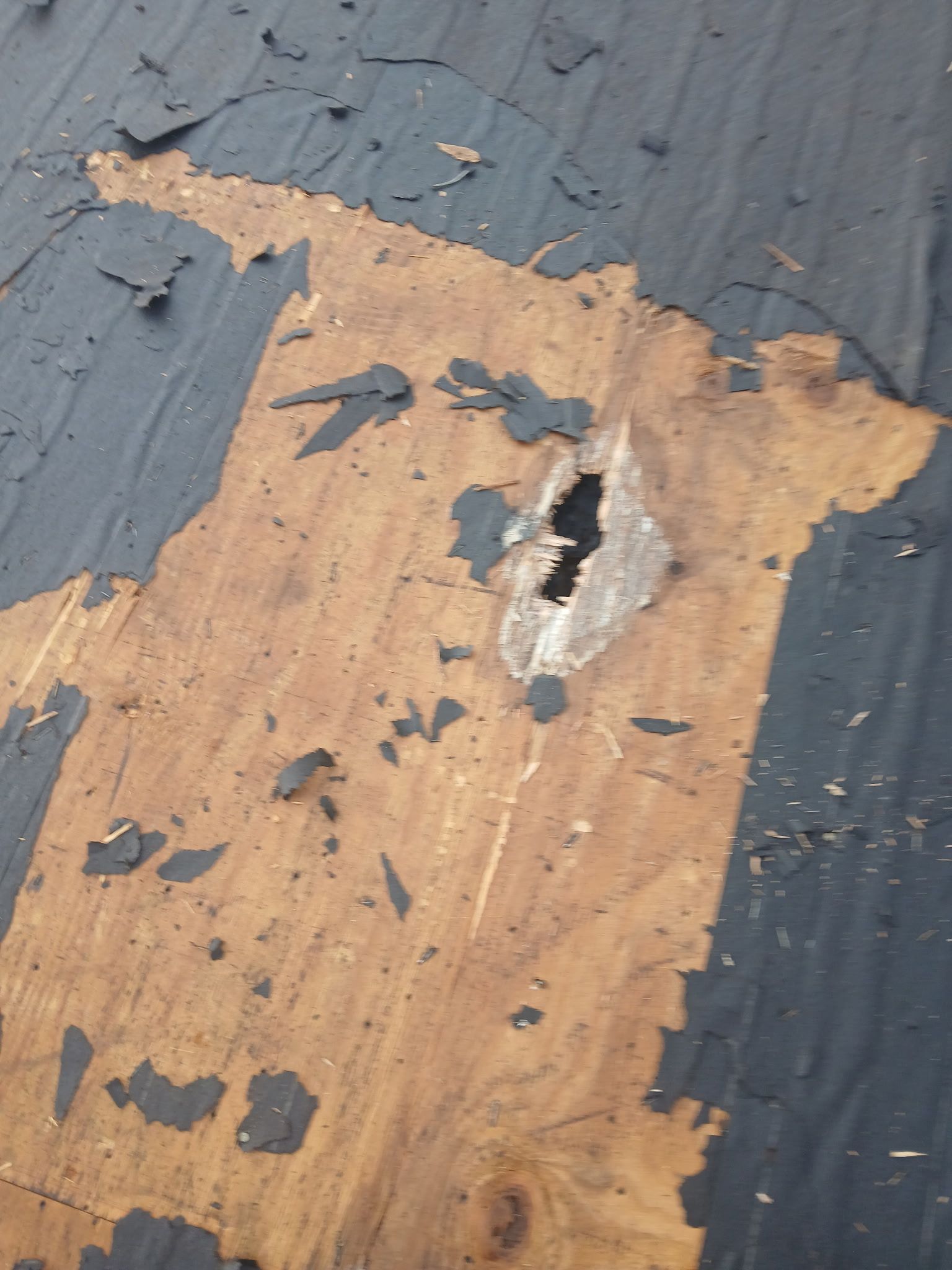 [Almost] All Trades by REPS Austin Area Roofer