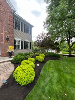 Comprehensive Shrub and Ornamental Bed Maintenance in Basking Ridge
