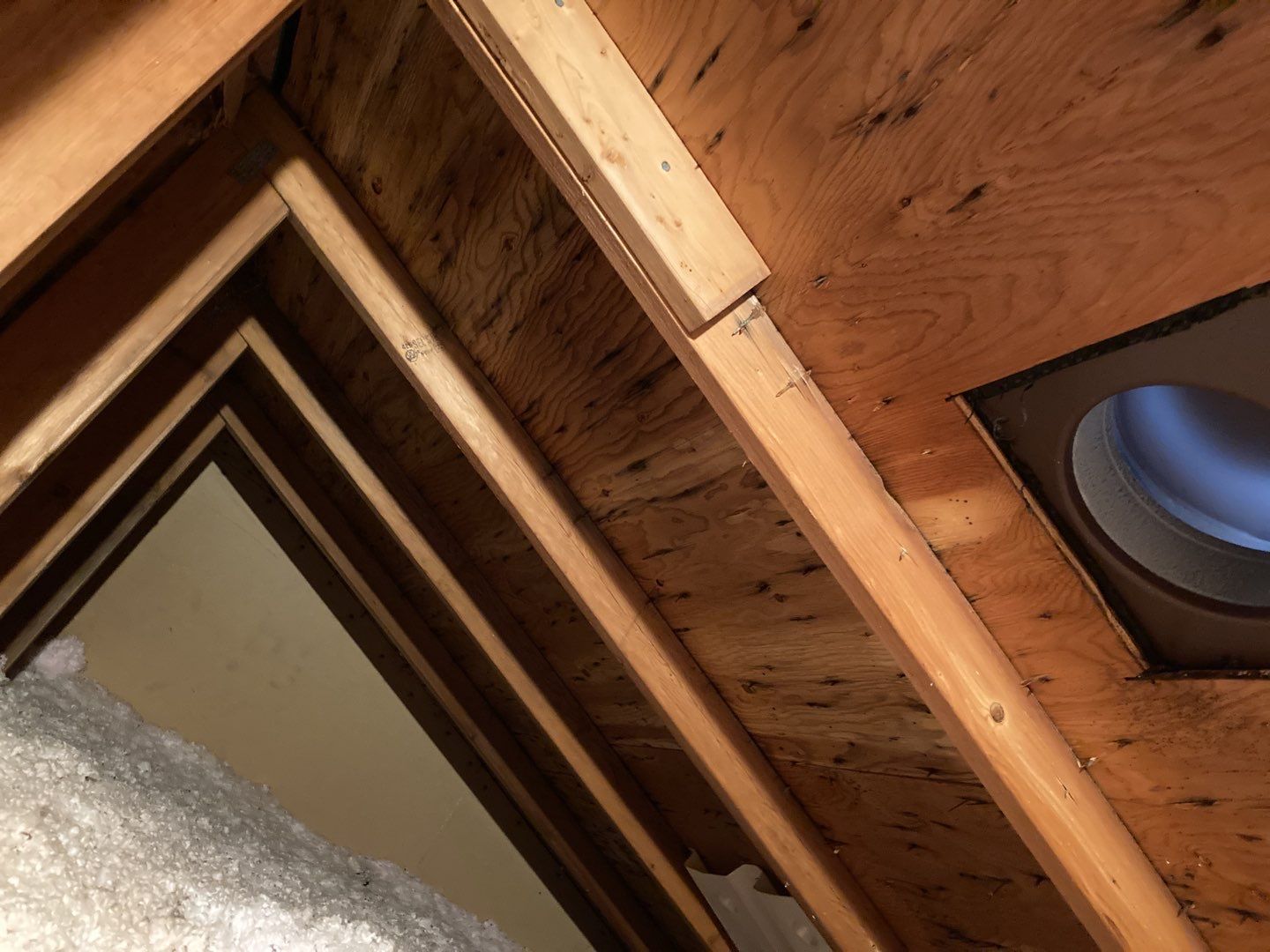 Mold Remediation in Attic by Accountable Home Services