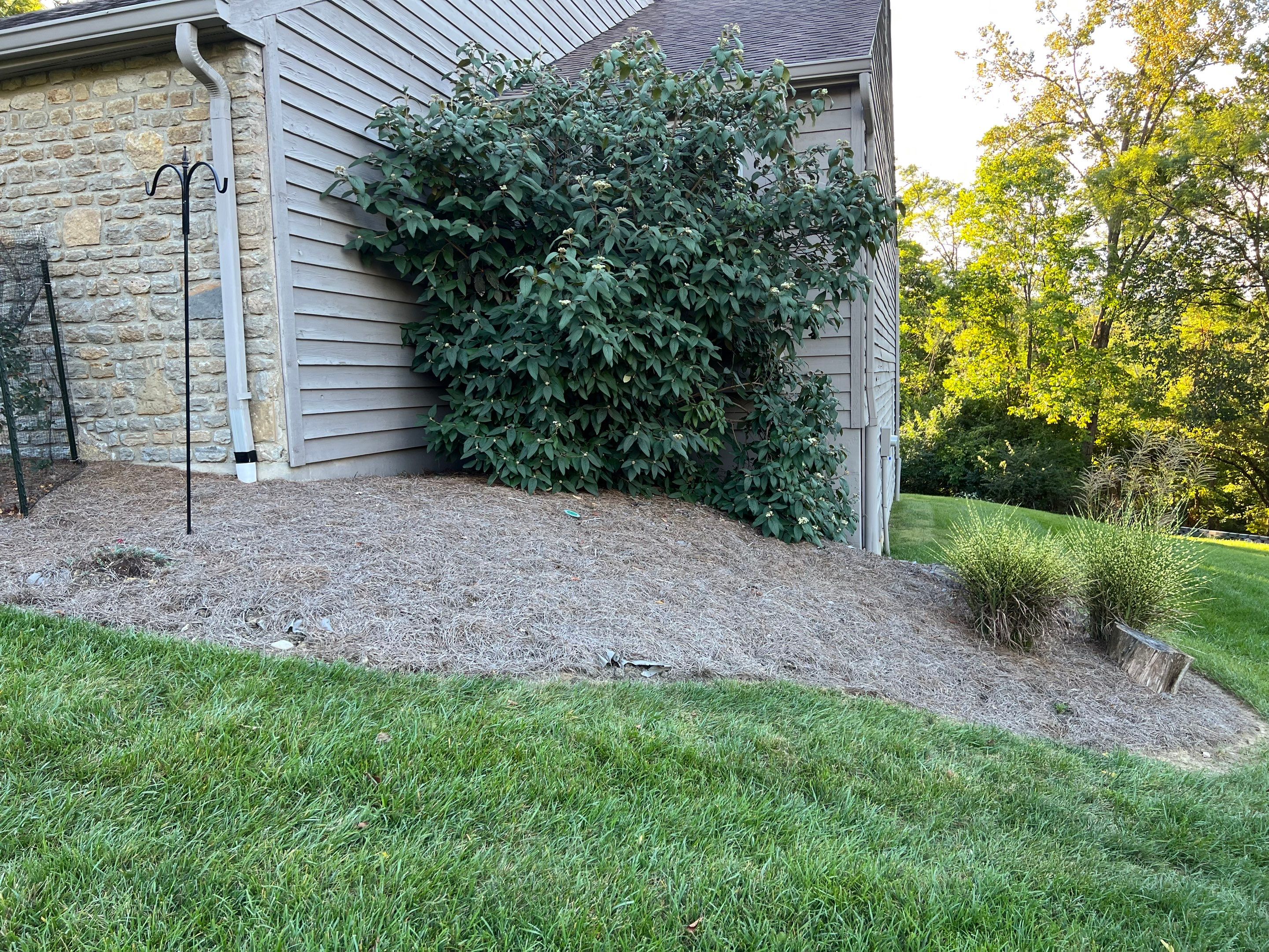 Spring Clean Up using Pine Straw by Reisenberg’s Lawn & Landscape, LLC