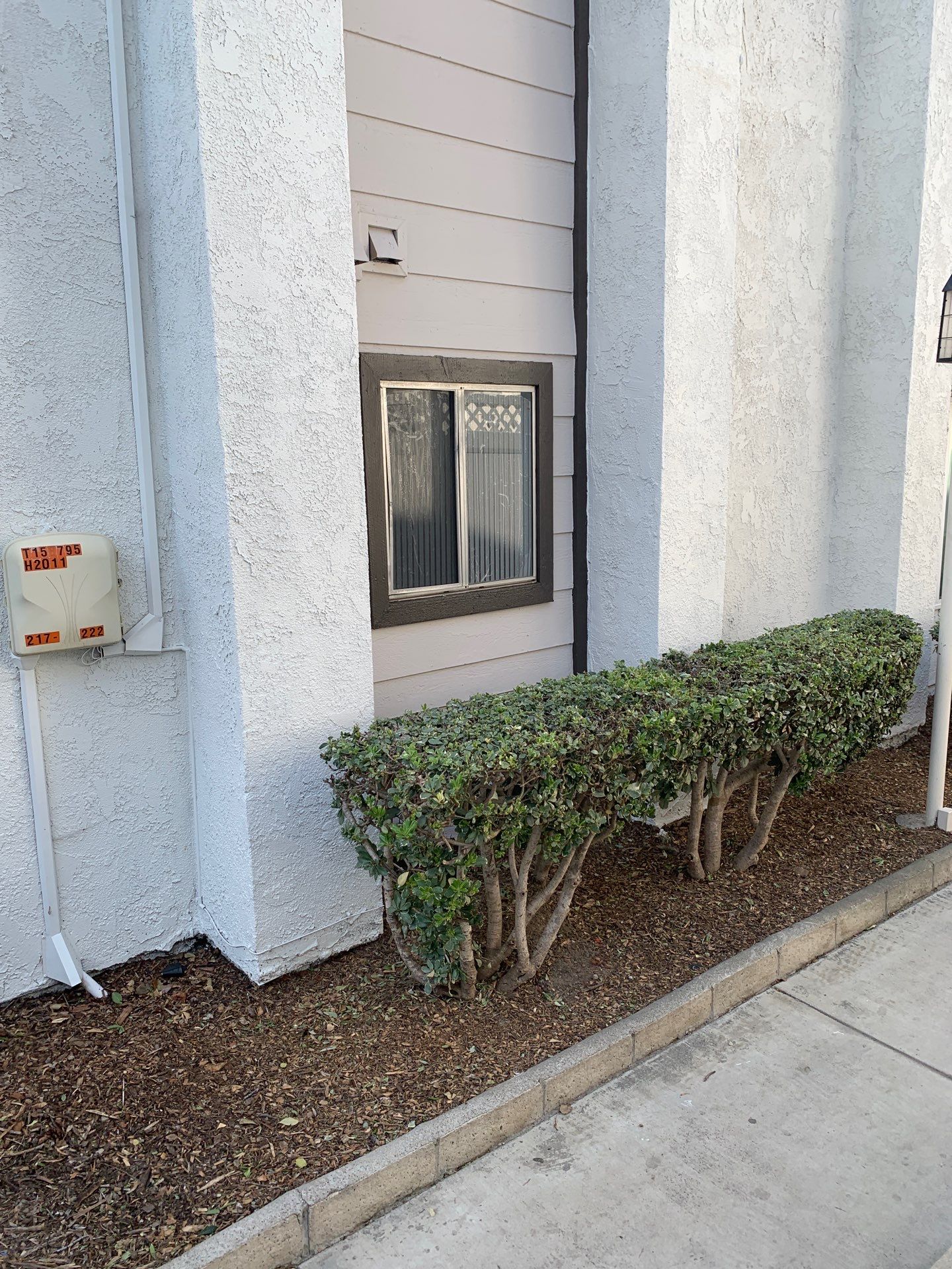 Window Installation using Vinyl Windows by American Window Company