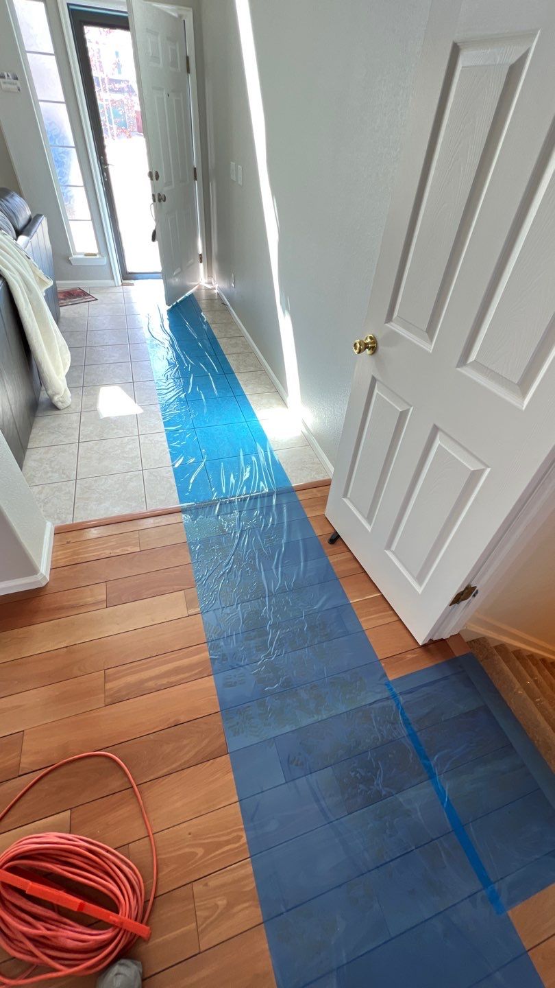 Mold Damage by Accountable Home Services