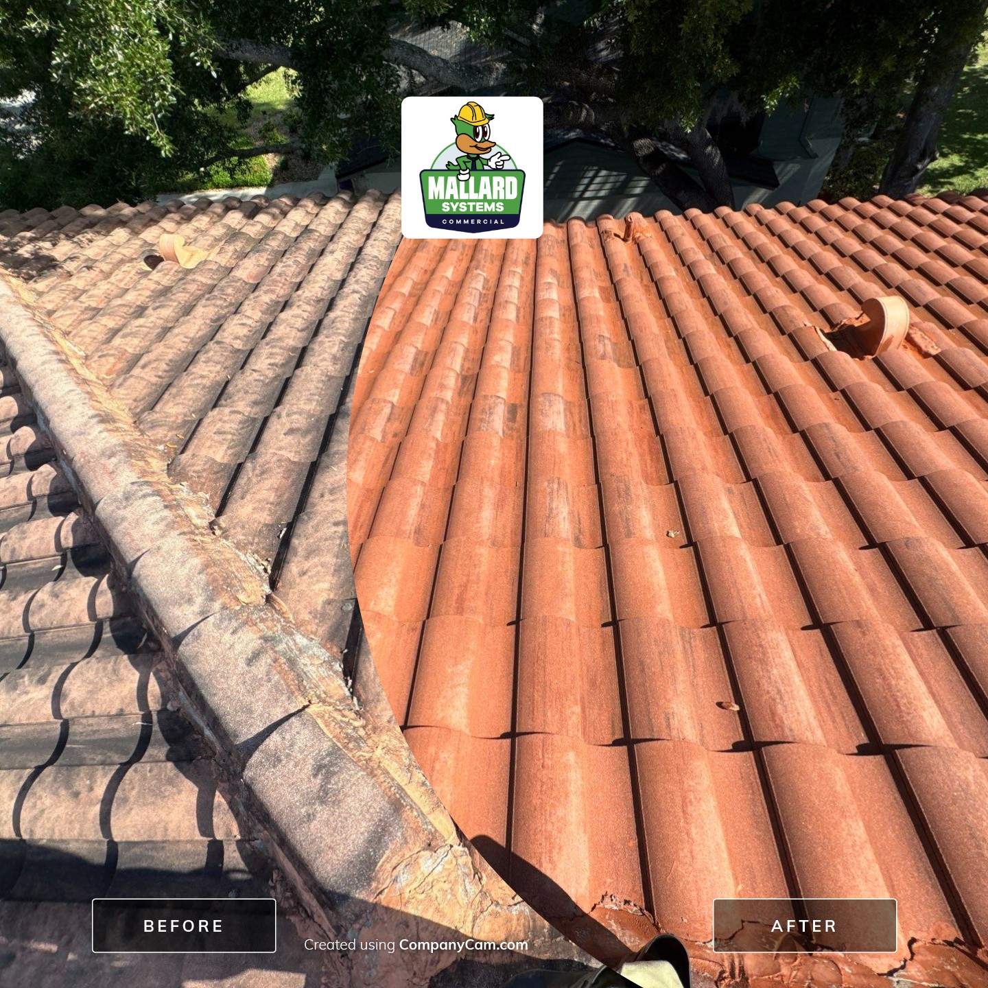 Clay Barrel Tile Roof Cleaning by Mallard Systems