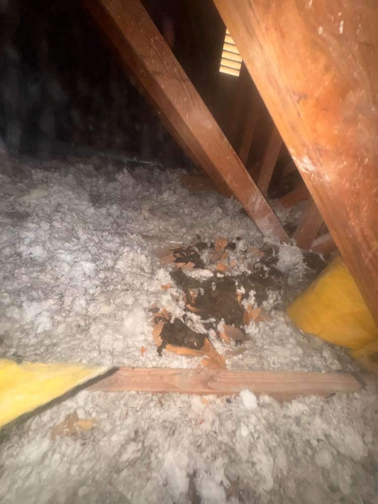 Project in Newport Beach by Advanced Attic Solutions