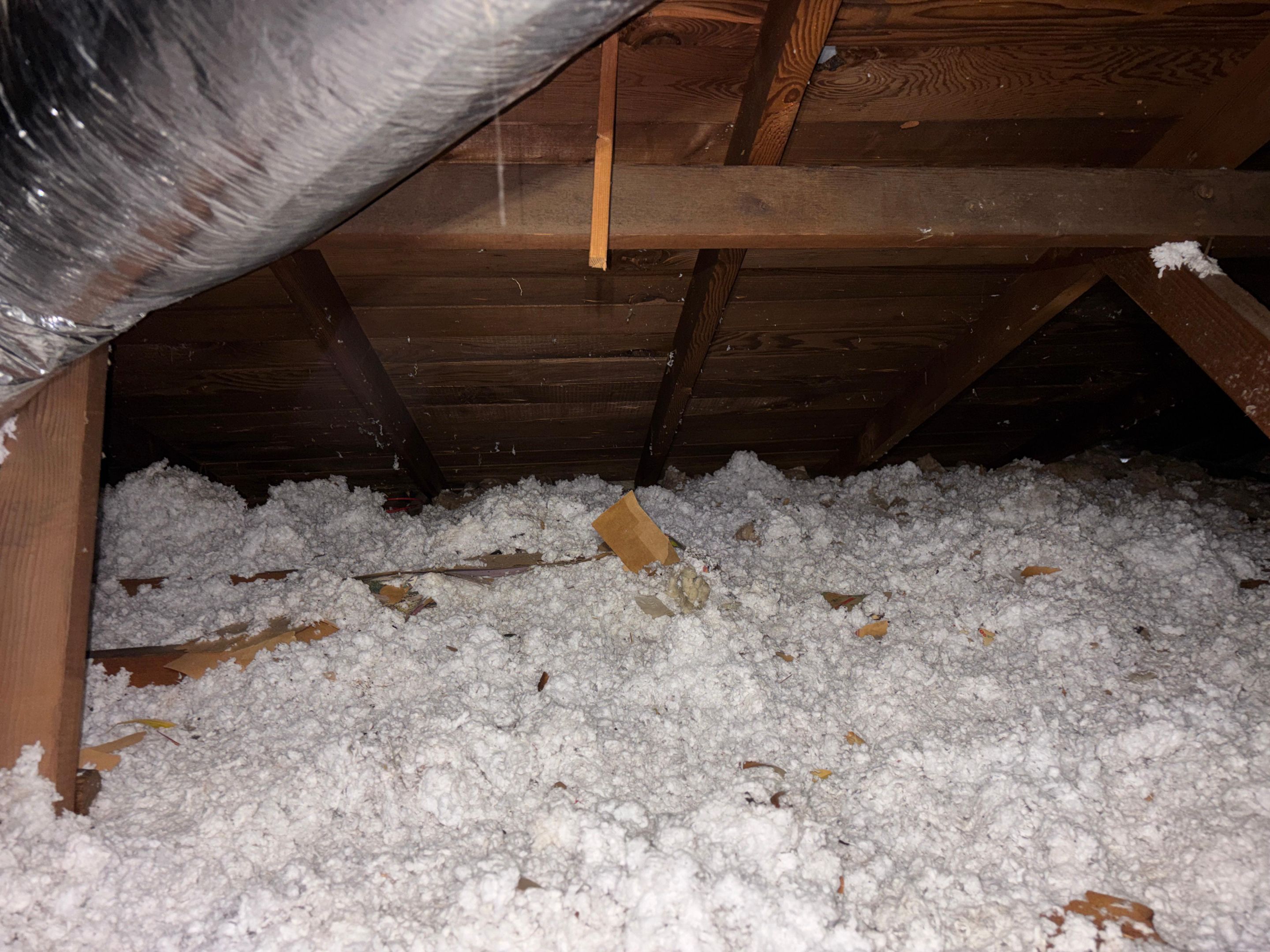 Project in Arleta by Insulation Labs