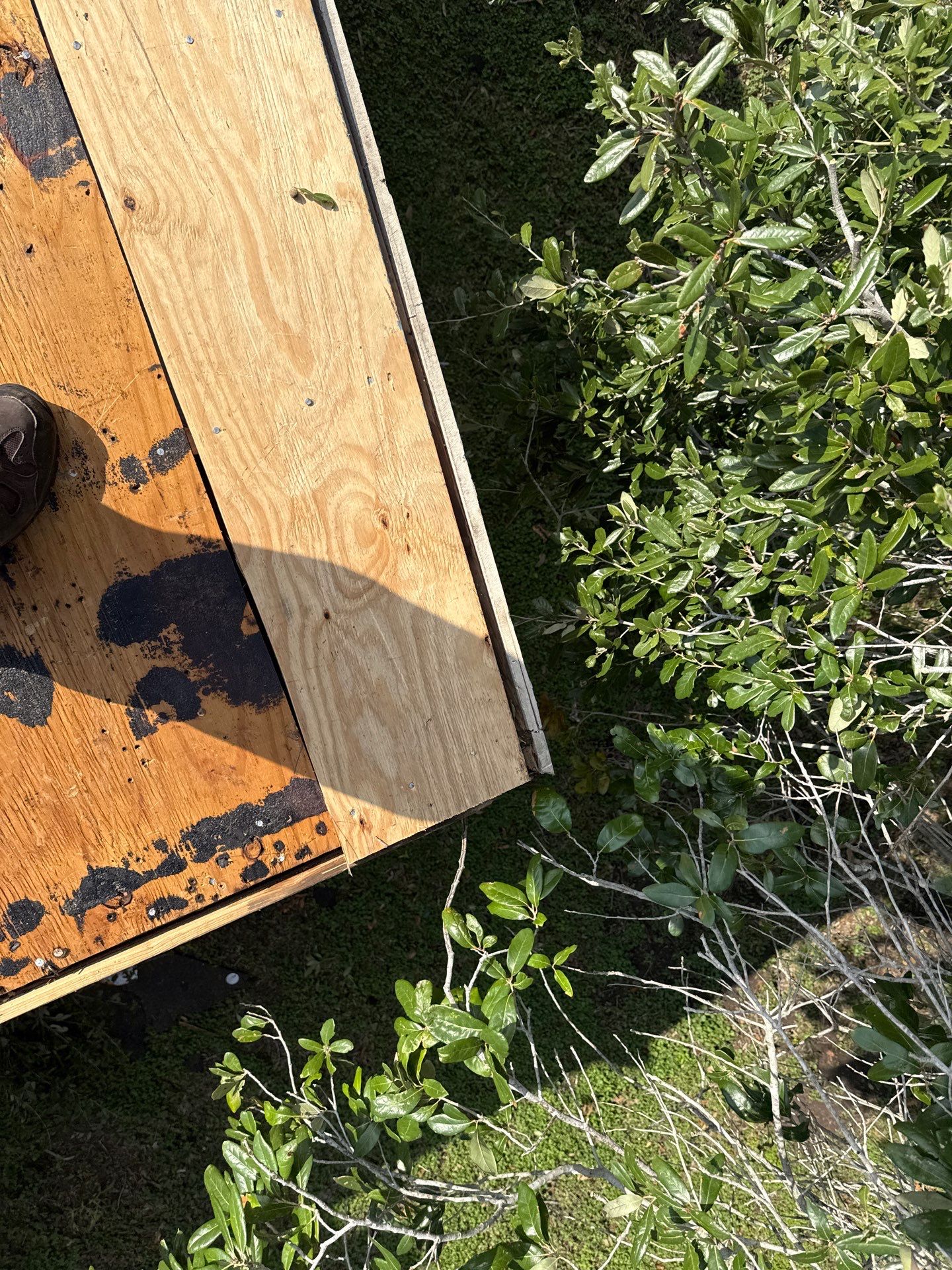 Taft Hail Too by Bayfront Roofing and Construction
