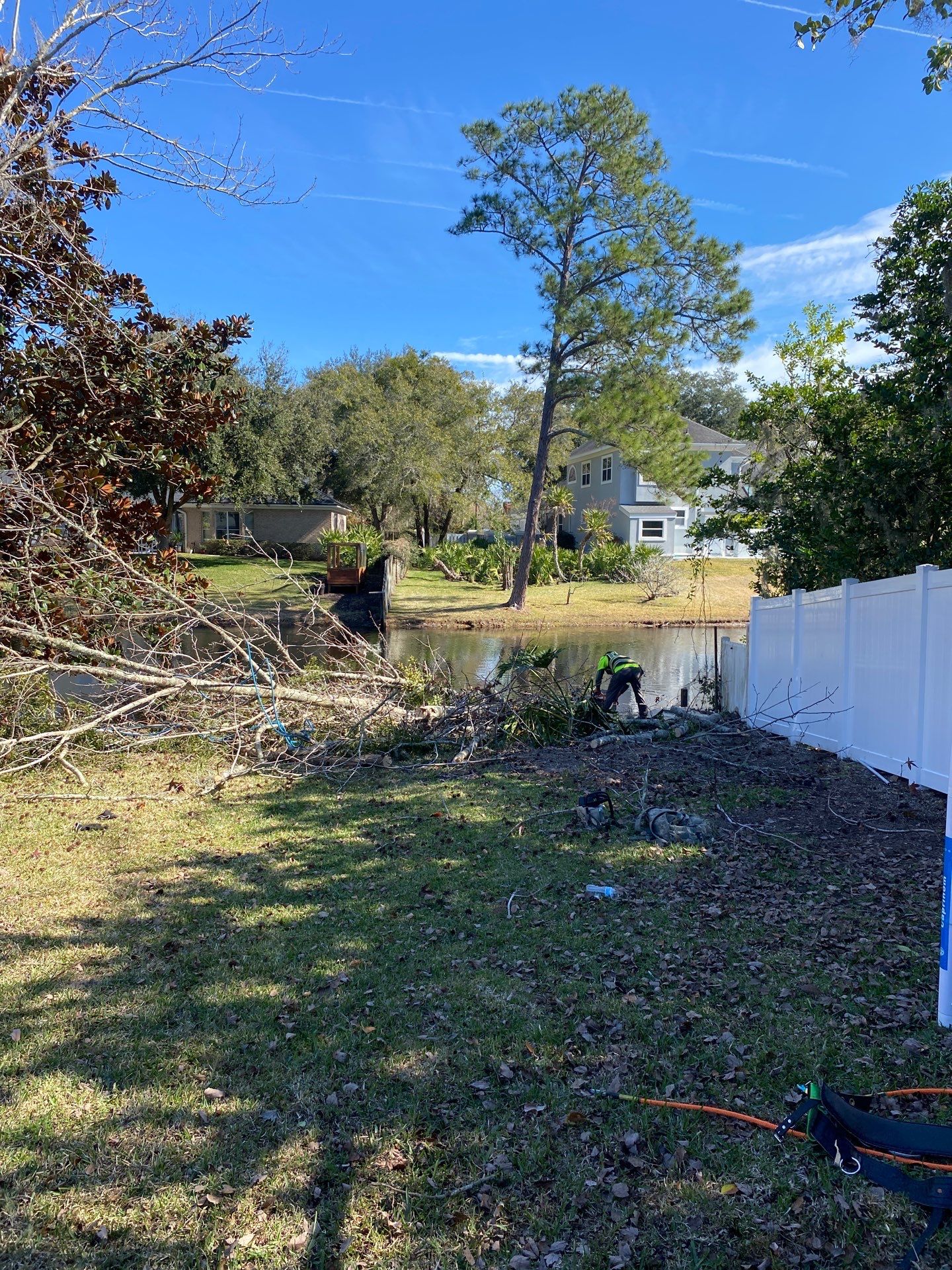 Deerwood Resident | Tree Removal by ProGreen Services