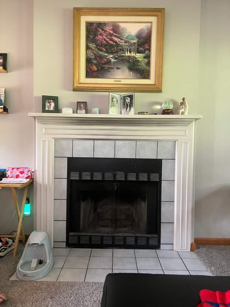 Gas Fireplace Installation  by Neighborhood Chimney Services 