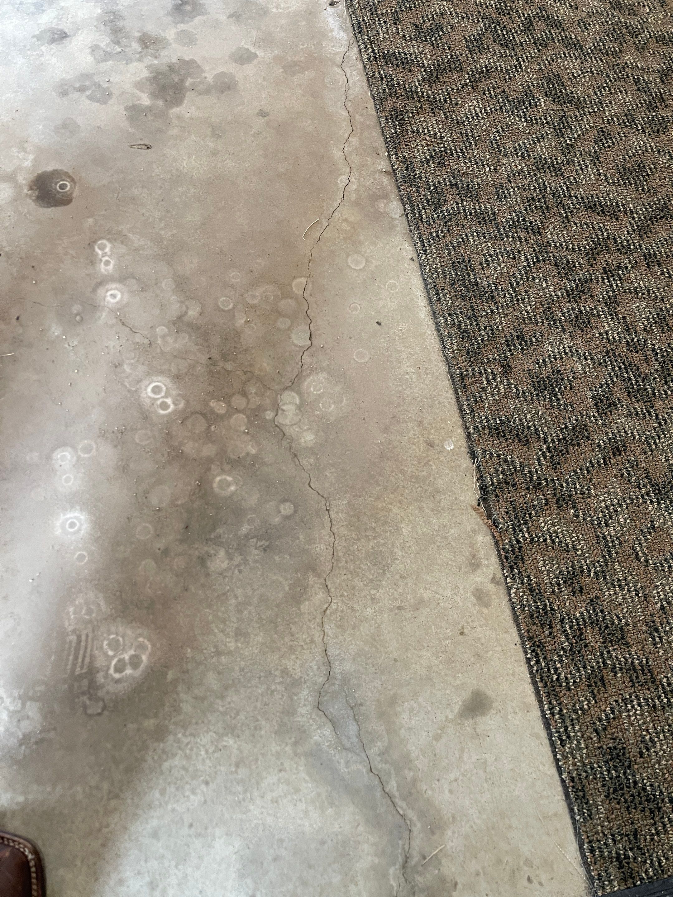 Garage using Silver Creek by Select Painting, Coatings & Garage Cabinets