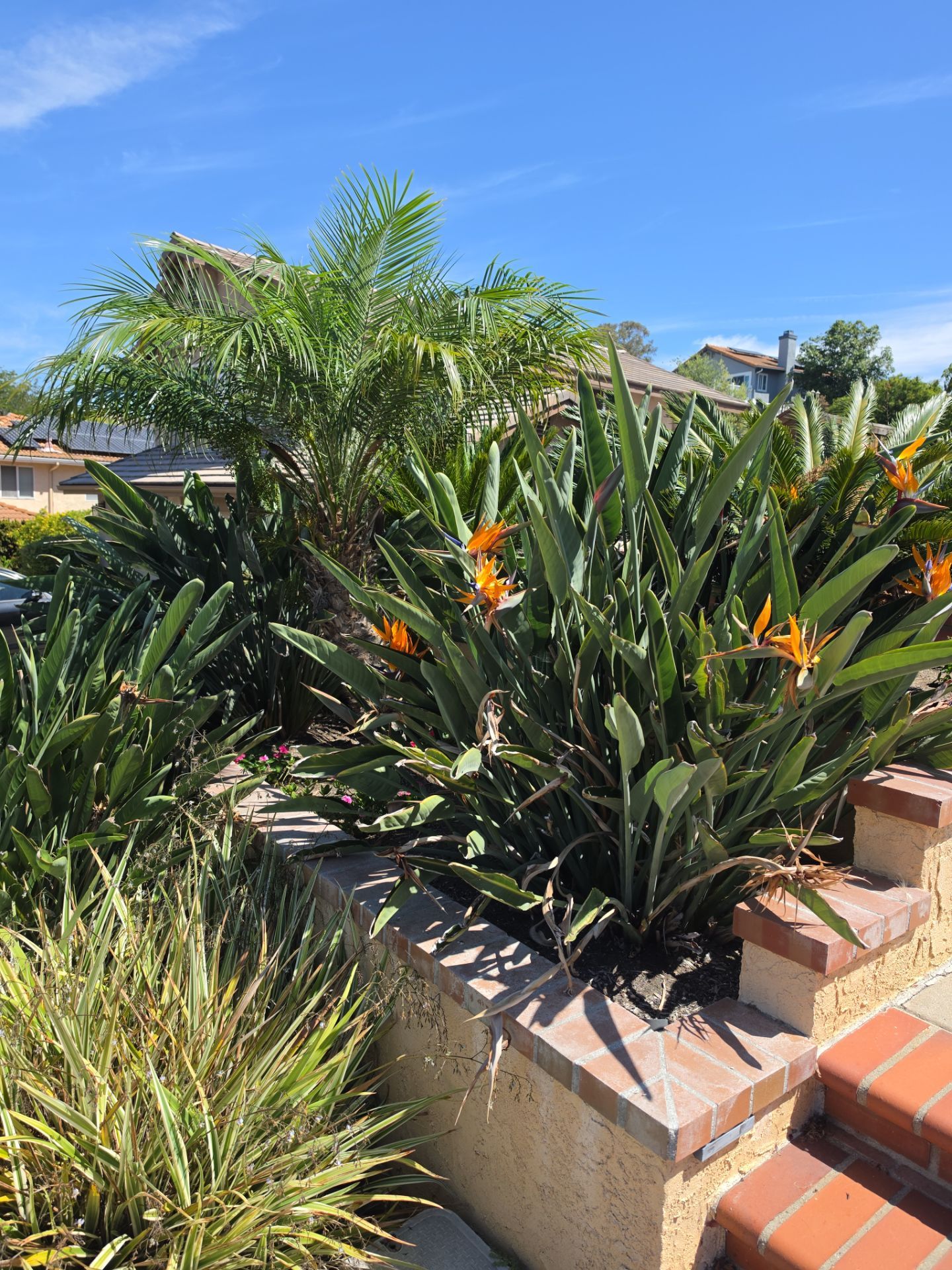 Hand Removal & Site Preparation Project by Yard Techs