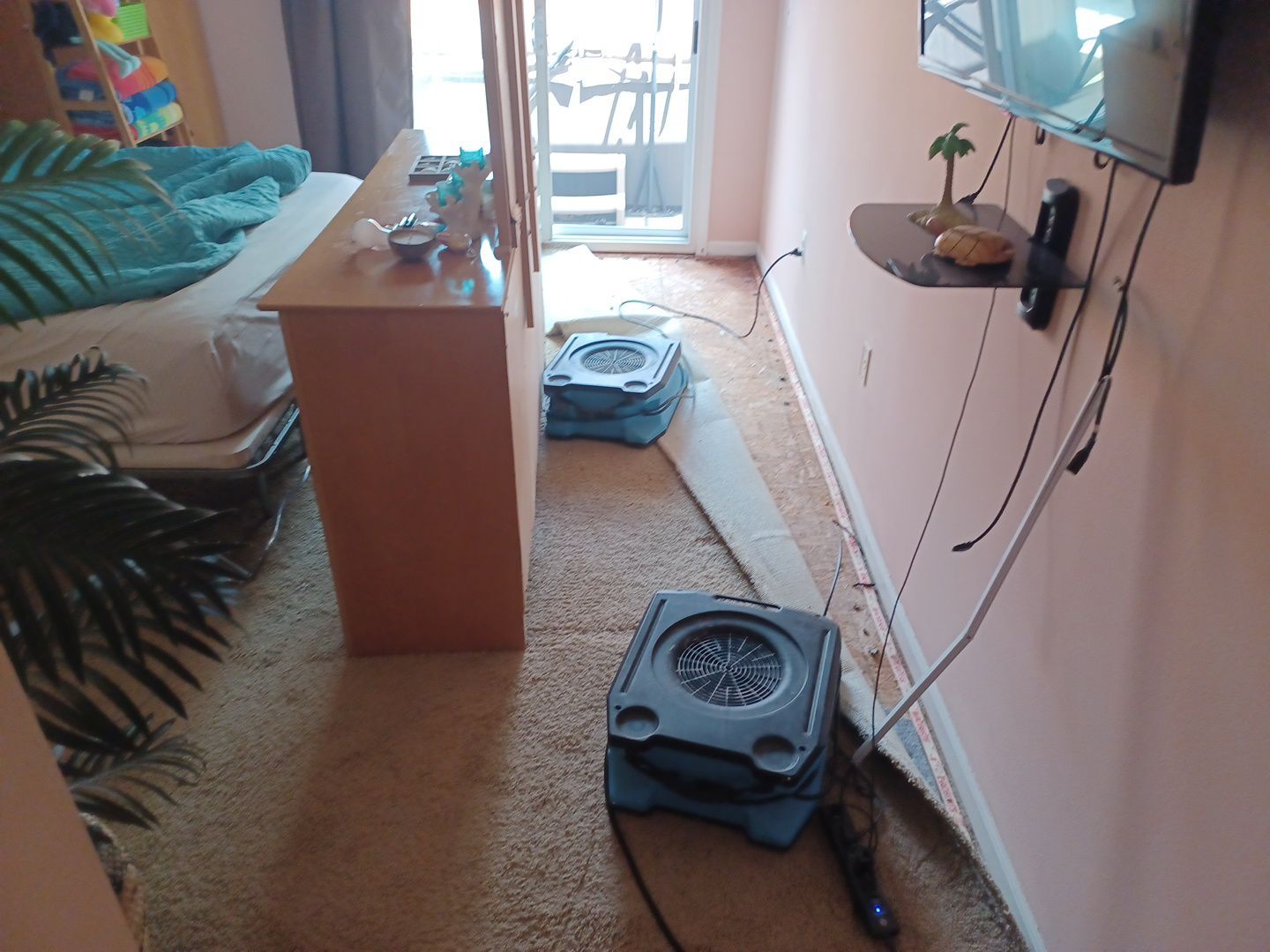 Project in New Haven by EzDry Water Mitigation & Property Restoration