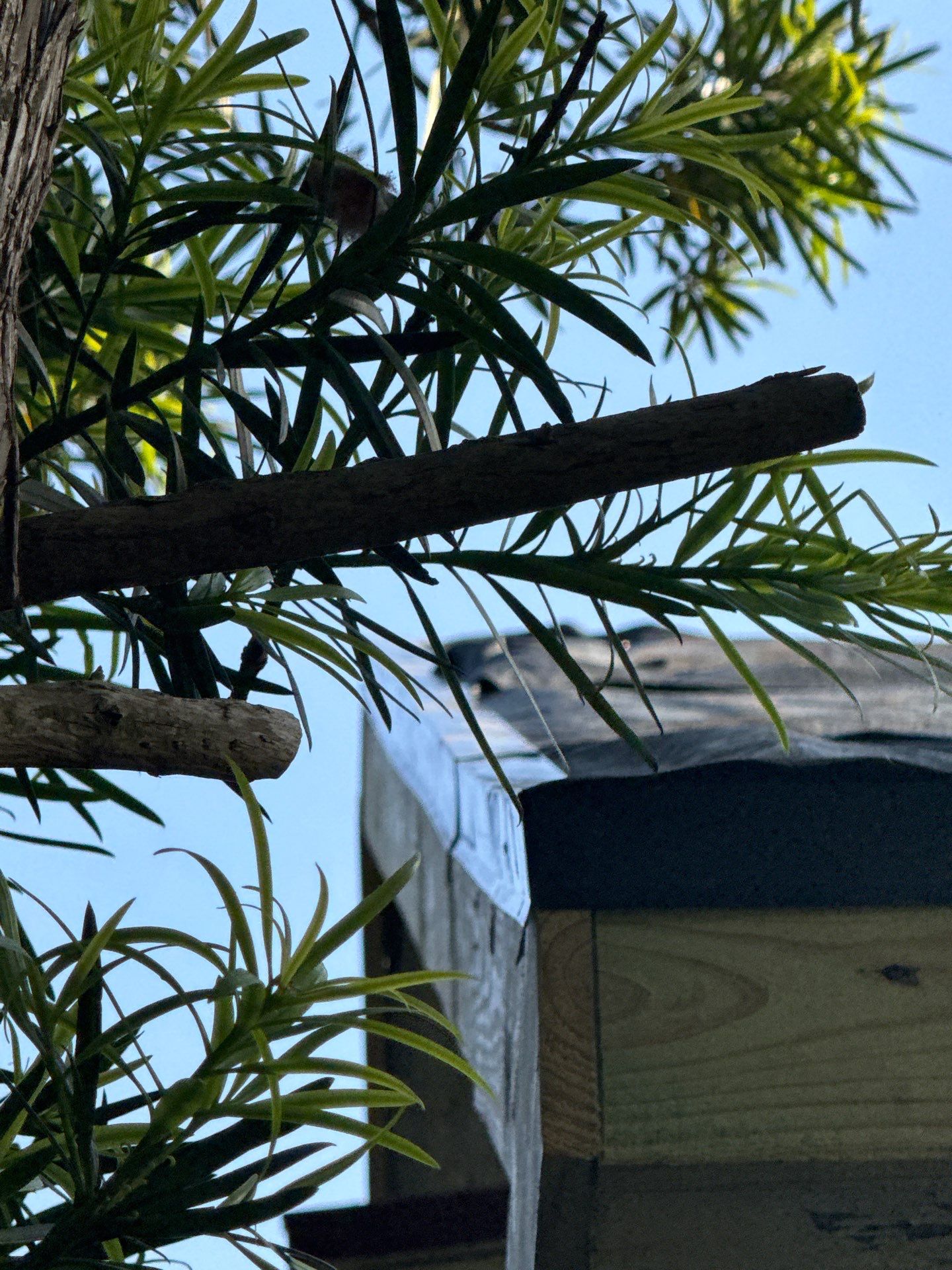 Roof Replacement Wharton by Roof Repair Company