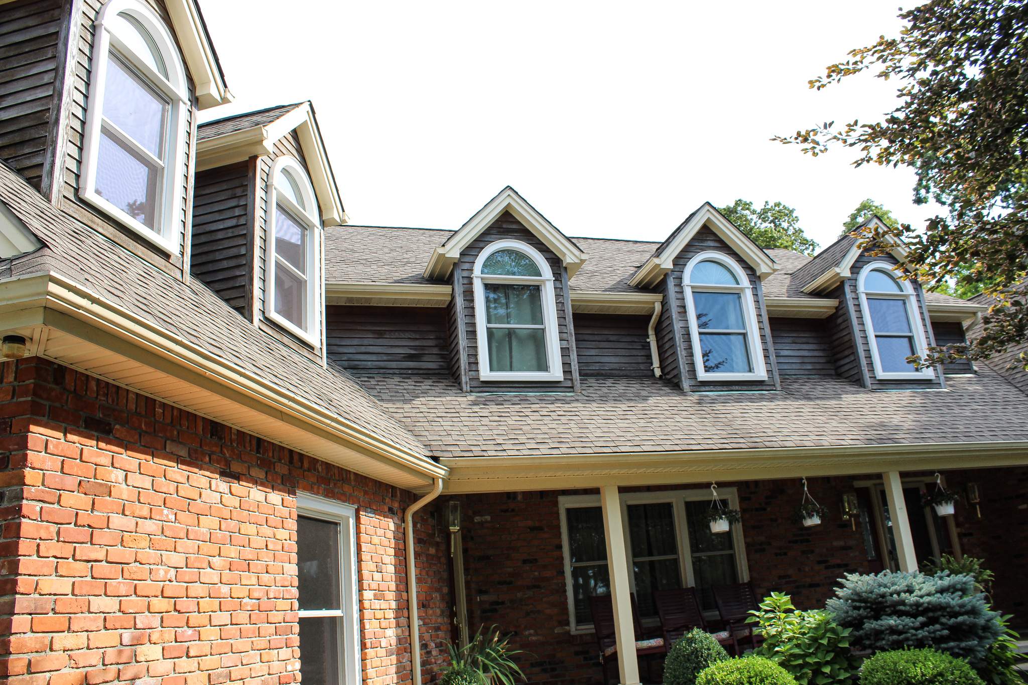 Window Replacement by Ivy Lea Construction