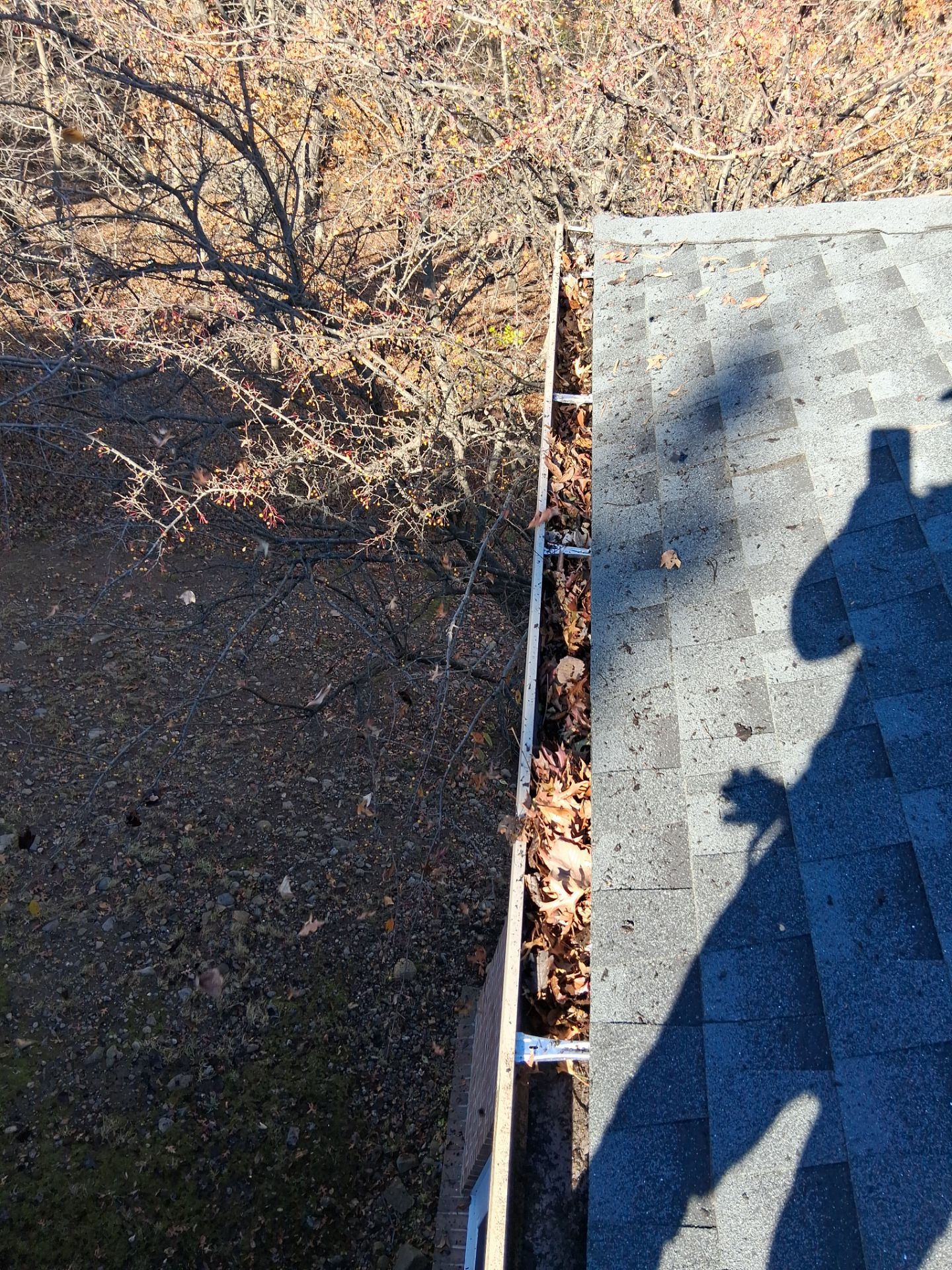 Commercial gutter cleaning Jersey City, NJ before photo with filled gutters