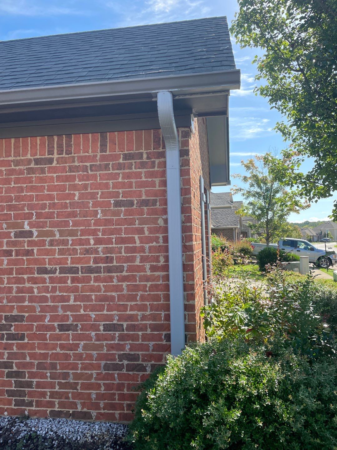 Downing Park - Paint by Pillar and Pine