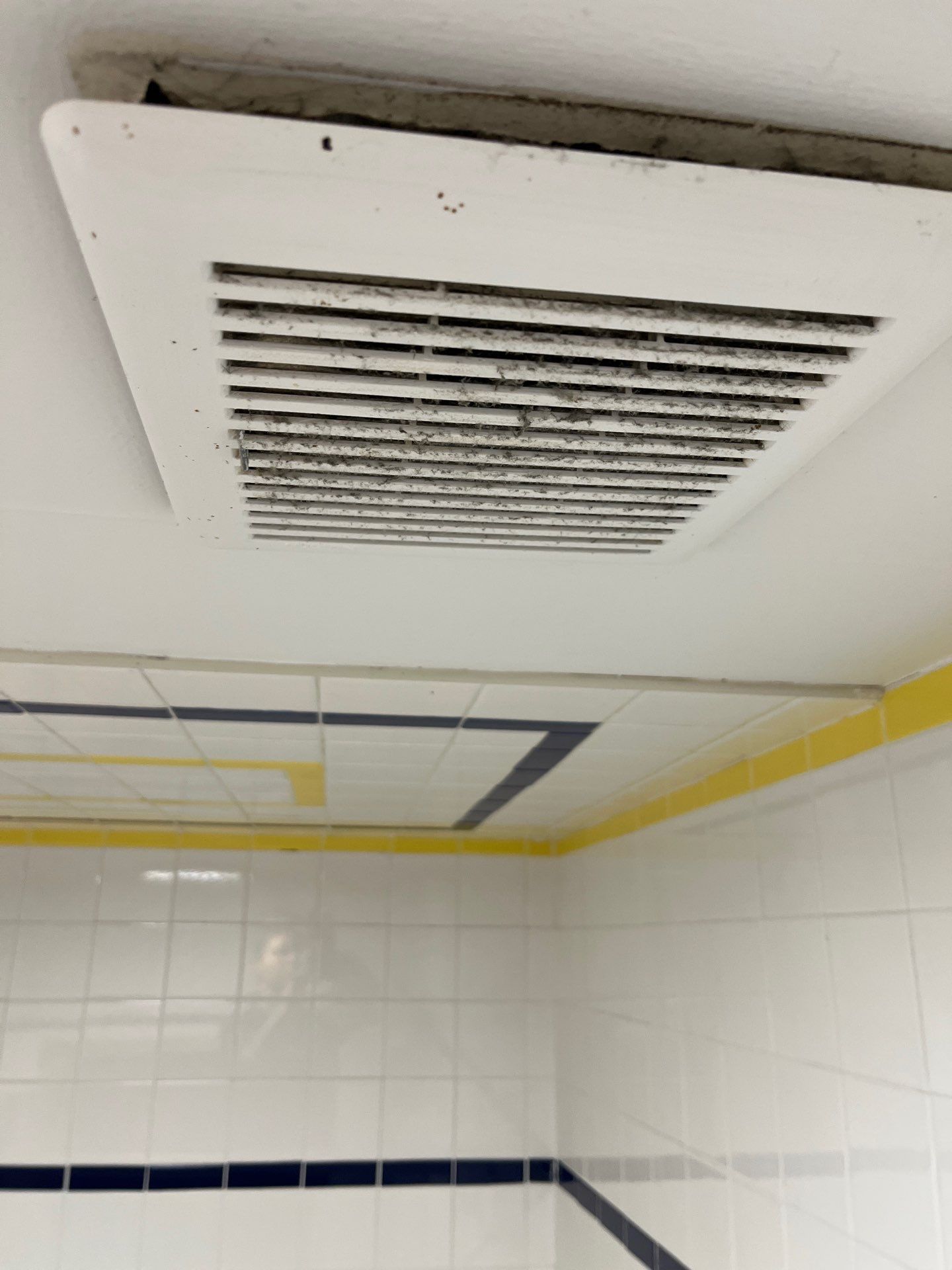 Project in Chicago by Xo Clean Services 