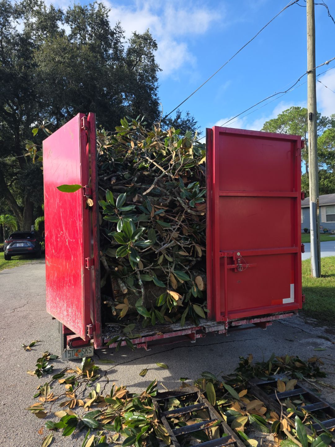 Tree Removal & Sod Install | Residential by ProGreen Services