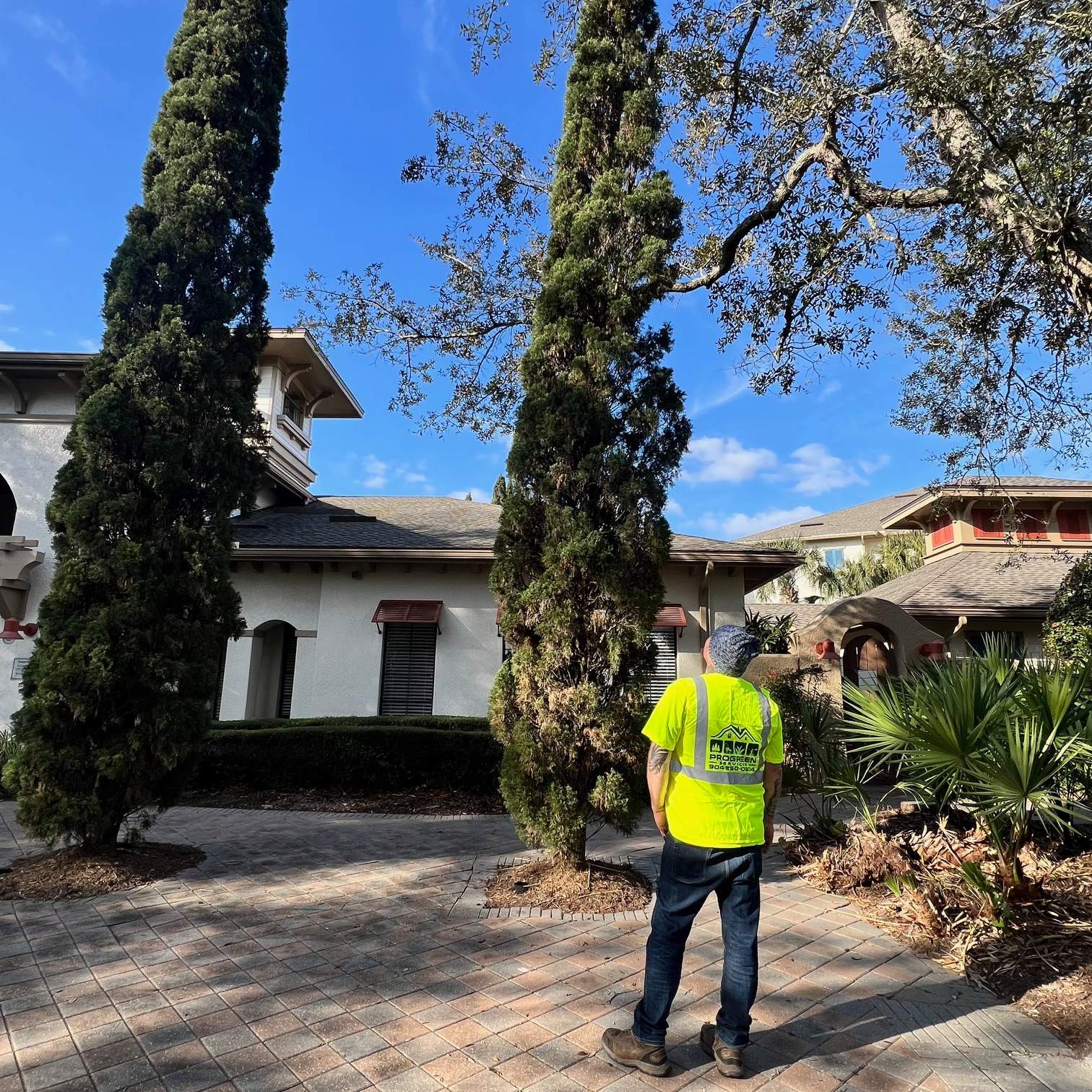 William's Walk | Italian Cypress Removal by ProGreen Services