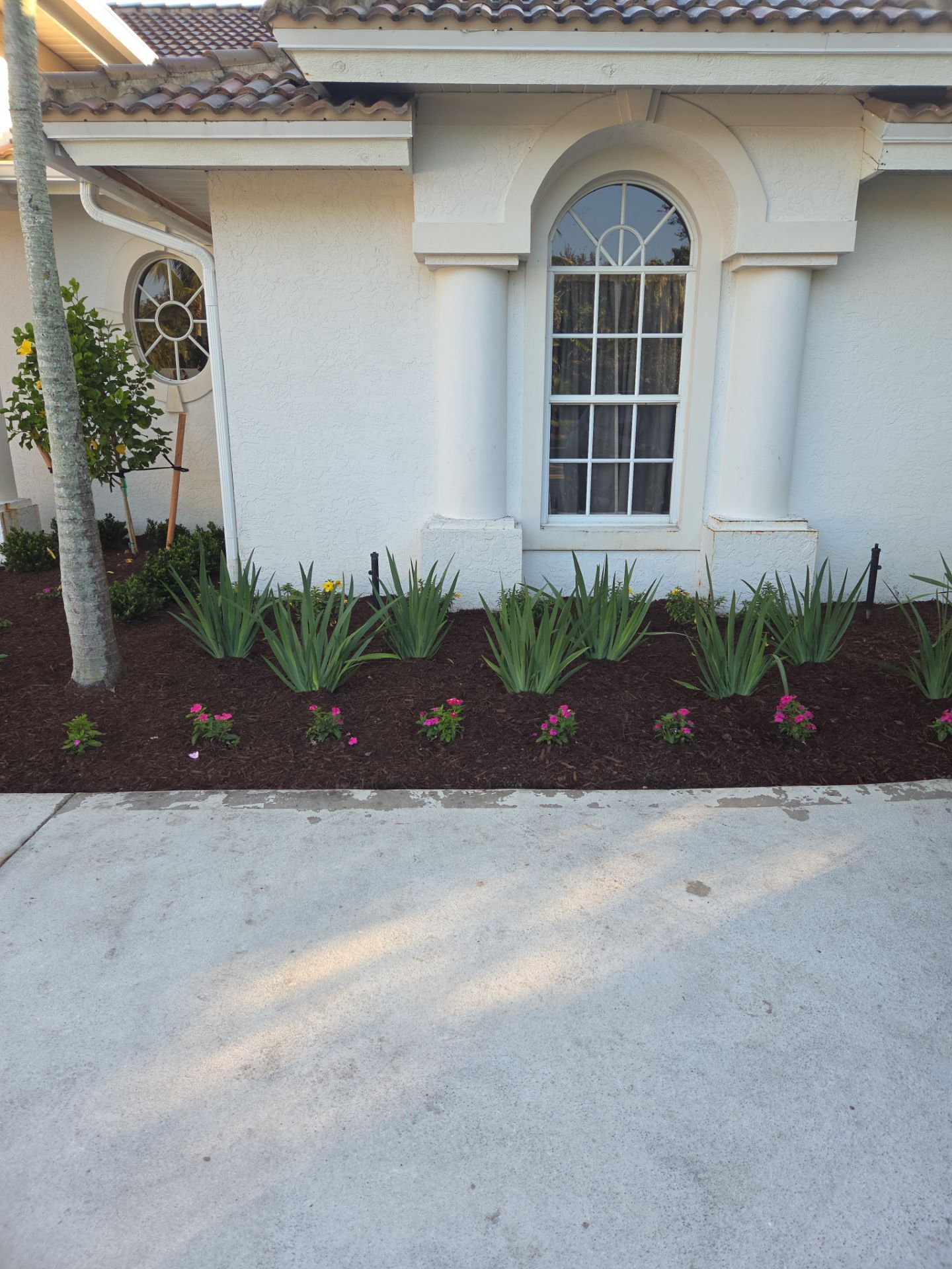 🌴 Landscape Removal and Install in Palm City by Alpha Zeta Enterprises Inc