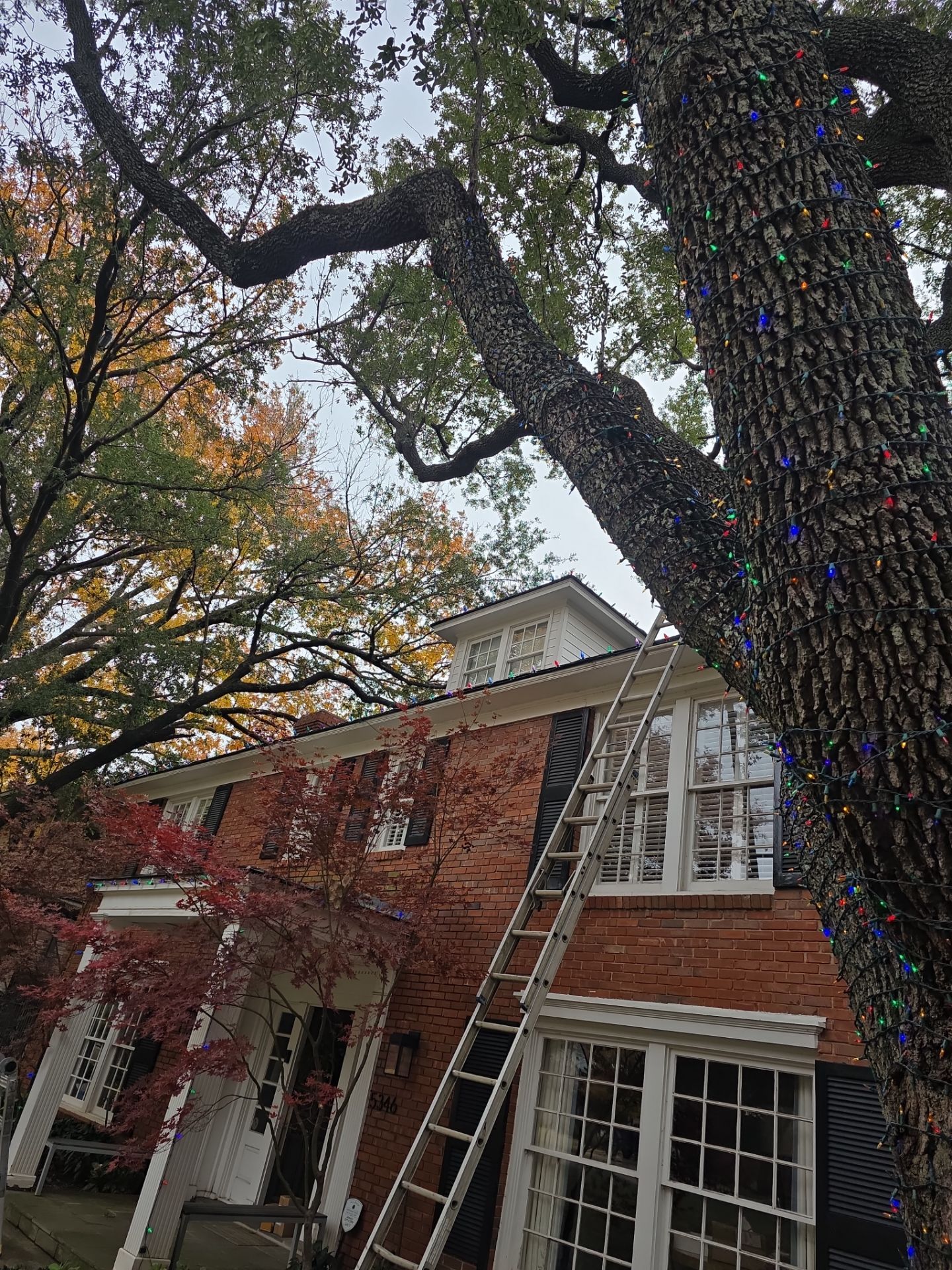 Project in Dallas by Armor Roofing | Exteriors