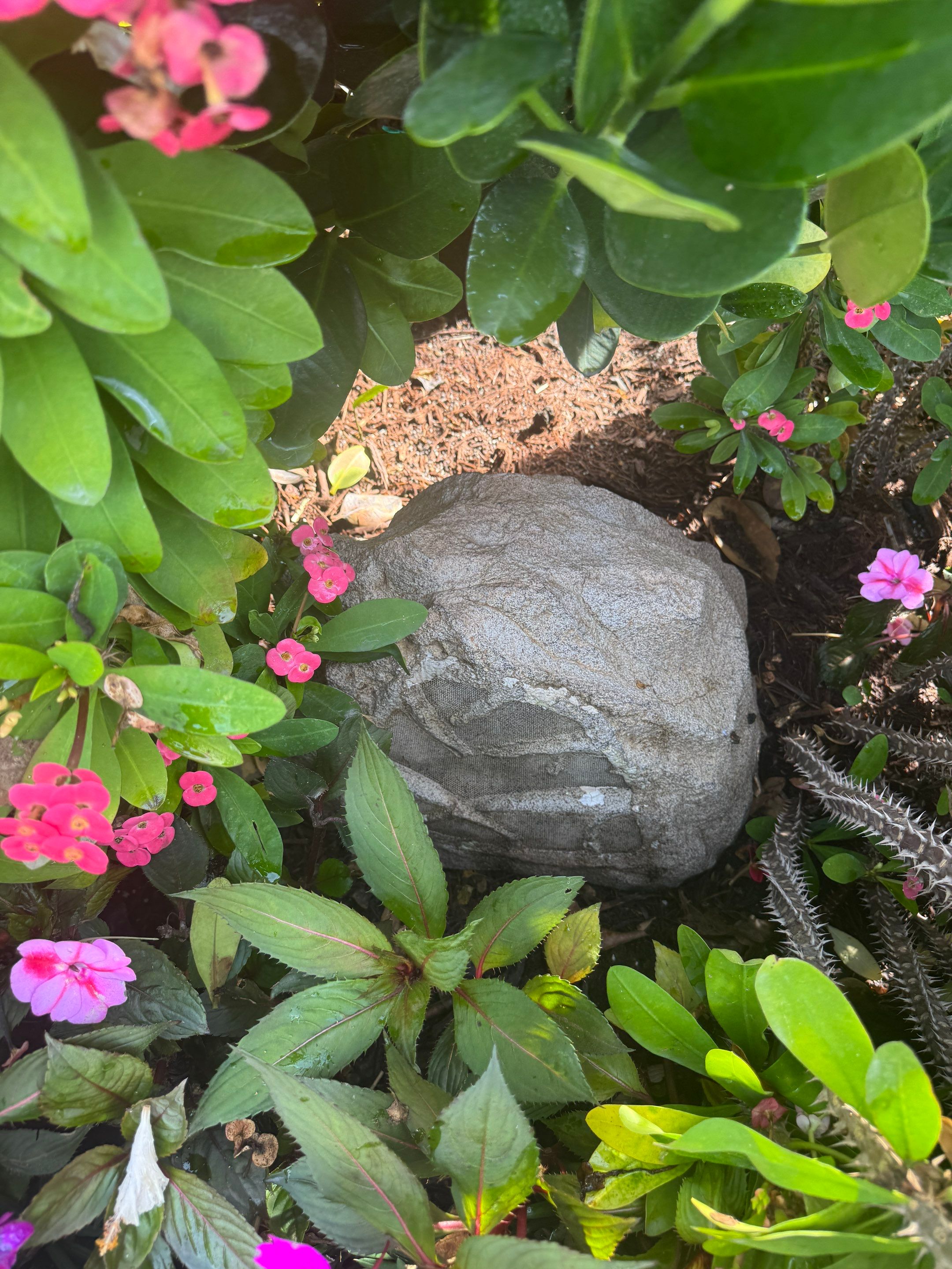 Landscape Speaker Replacement using Sonance RK83 Outdoor Rock Speaker by Creative Media Designs
