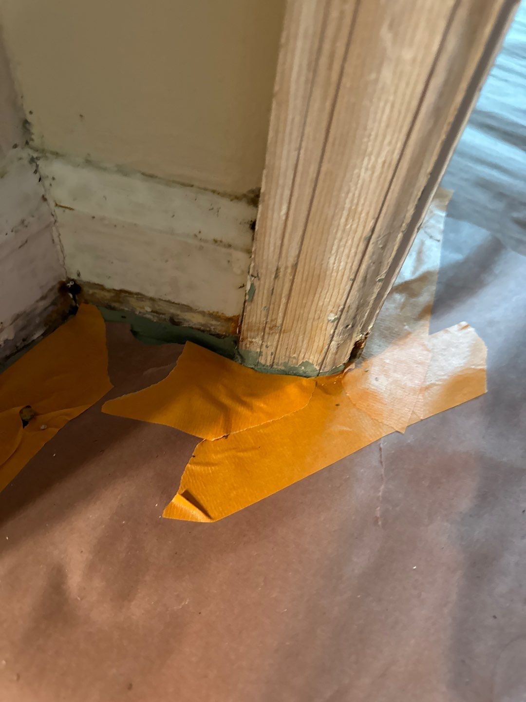 Project in West Bloomfield Township by EzDry Water Mitigation & Property Restoration