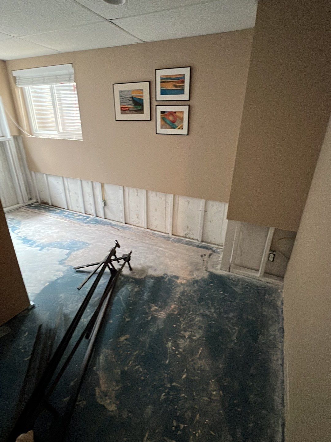 Mold Damage by Accountable Home Services