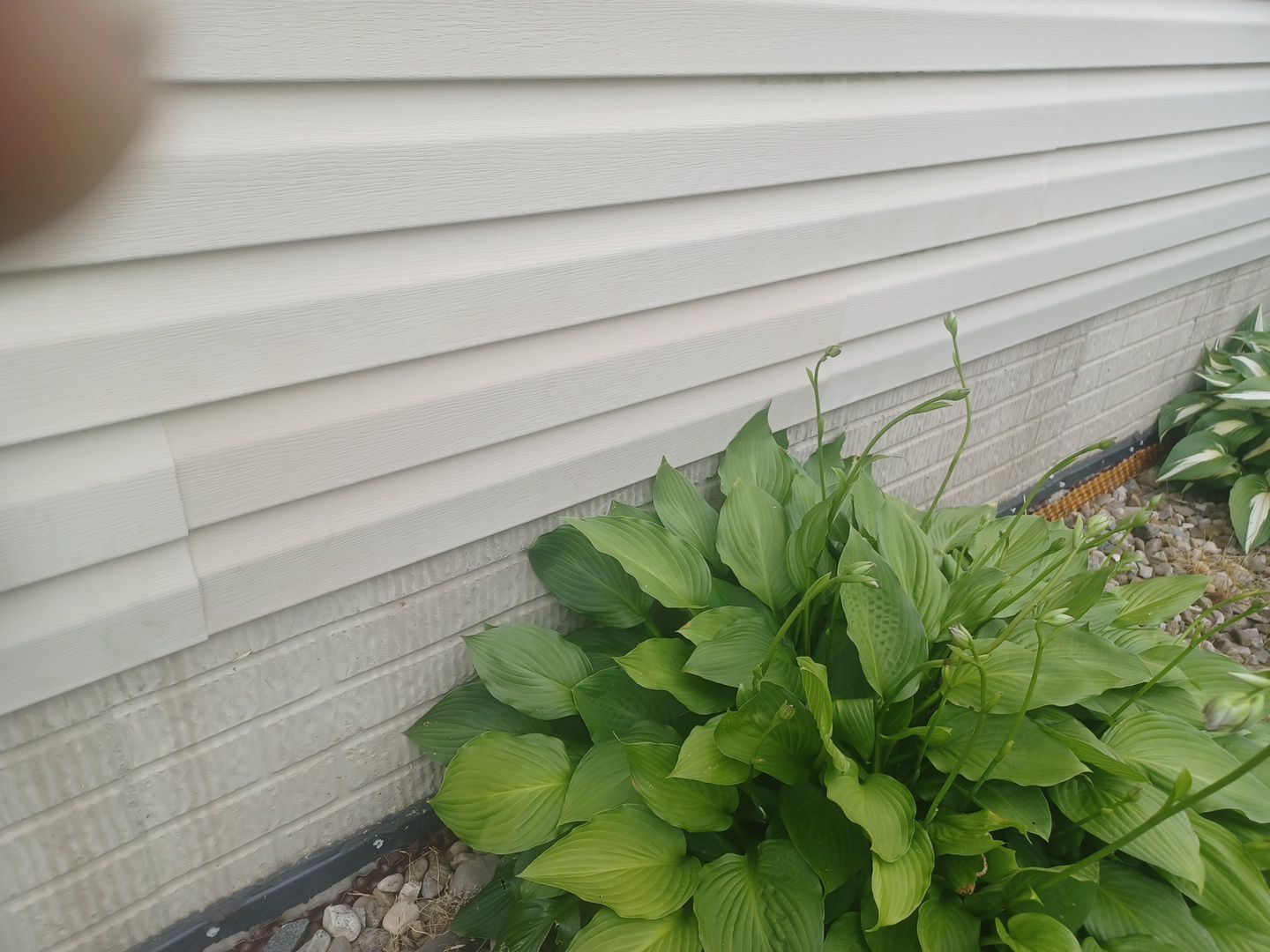 Alexa & Beau Geiser by Silver Leaf Contracting 