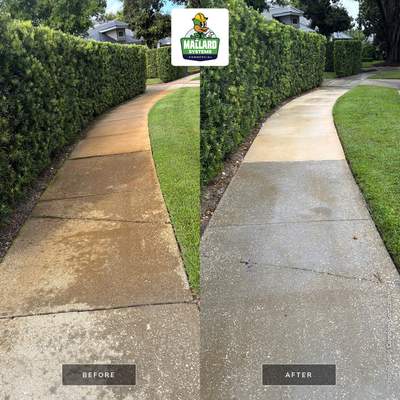 Residential Driveway and Walkway Pressure Washing & Rust Removal Service in Orlando