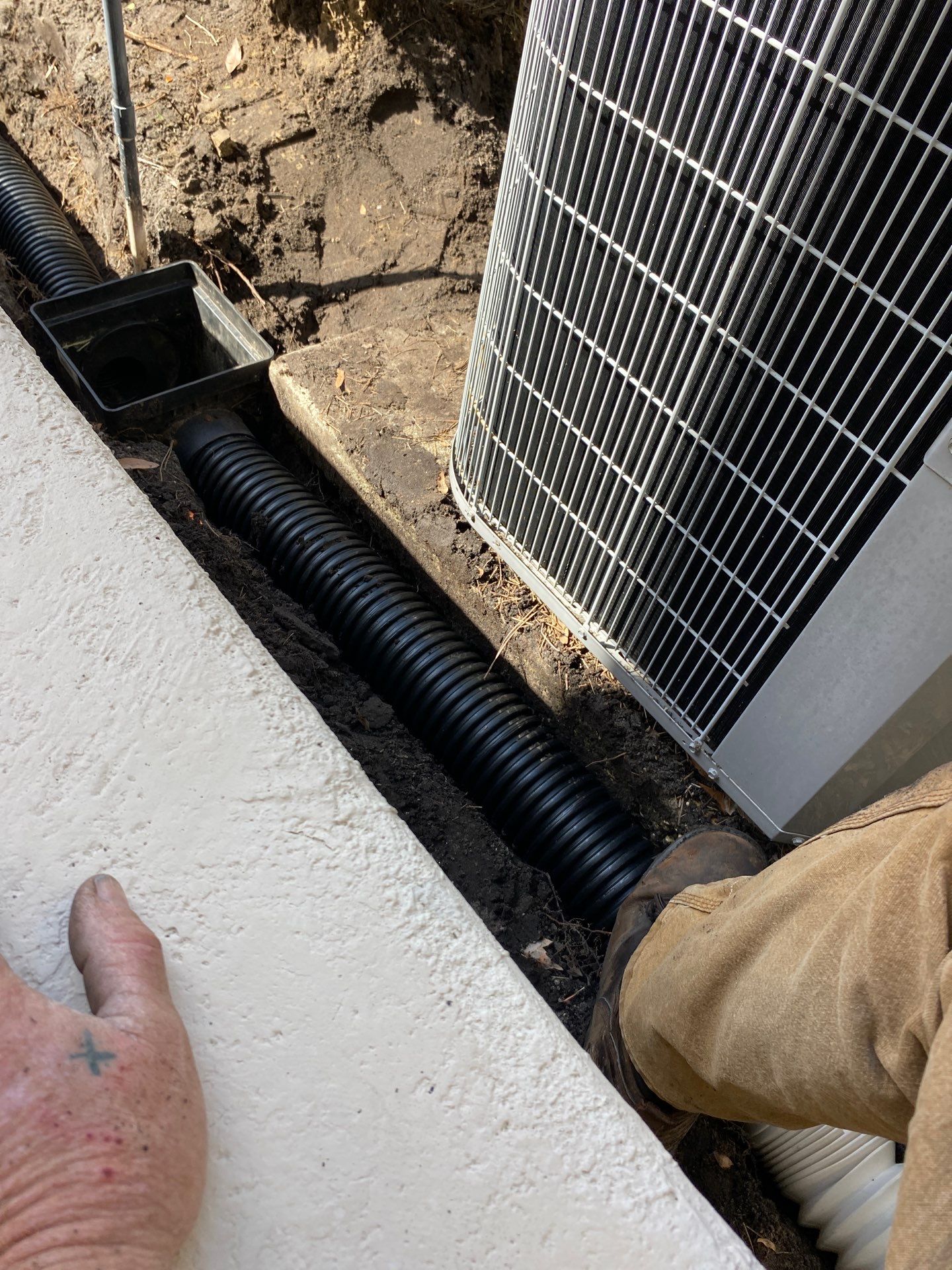 Deerwood Resident | Tree Removal & Trench by ProGreen Services