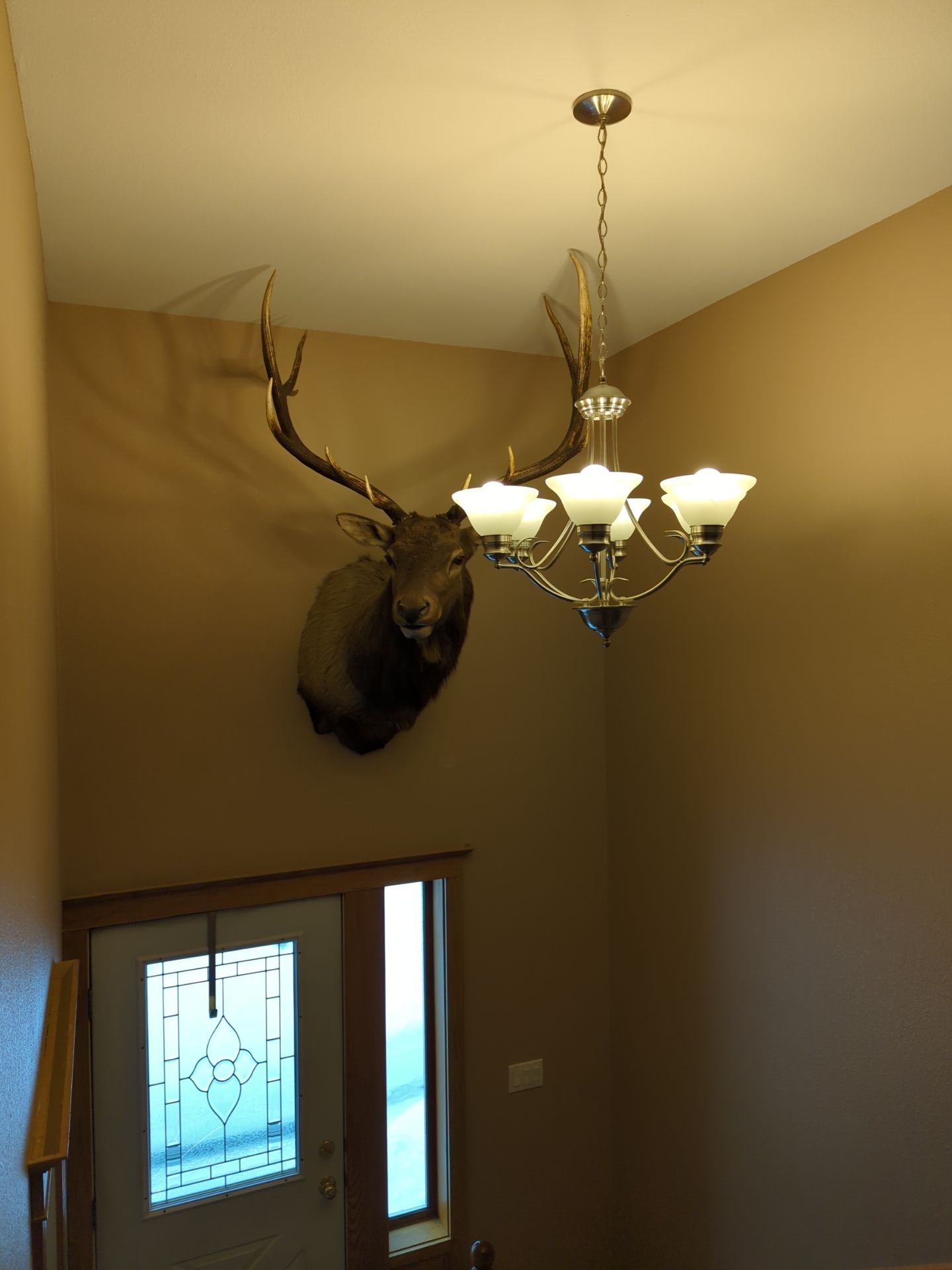 Interior Painting Refresh by Midnight Sun Painting