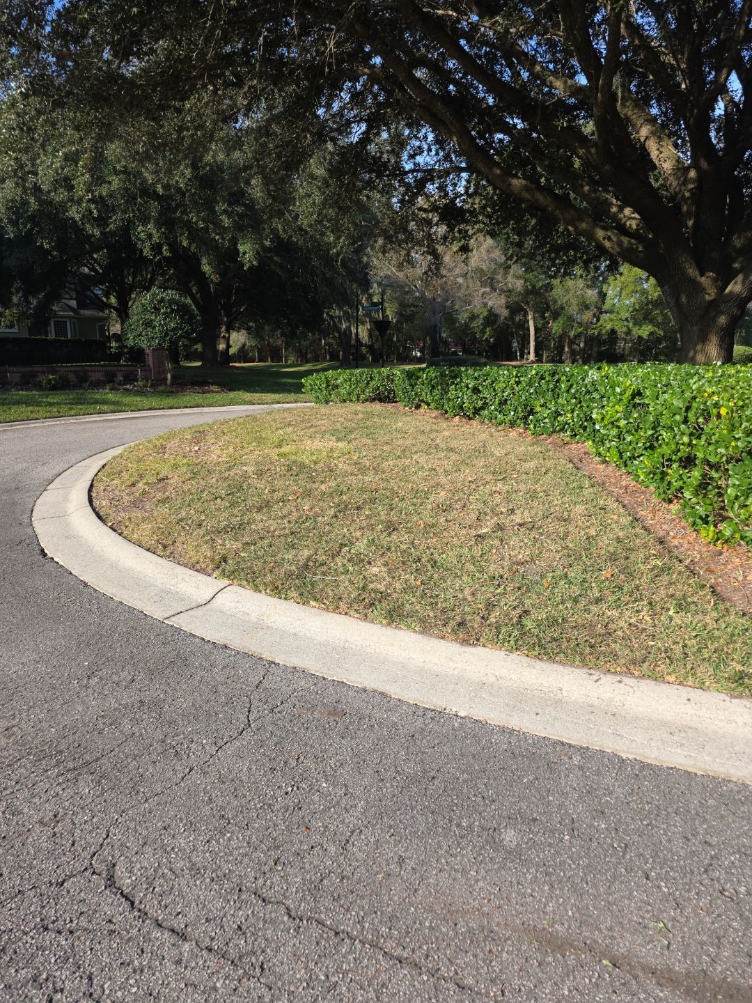 Courtyards of Deerwood | Sodding Work by ProGreen Services