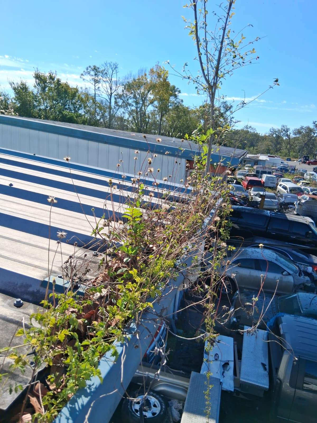 Clean Gutters and Seal Seams in Lakeland FL by Gutter Professors