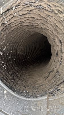 Air Duct and Dryer Vent Cleaning in Montverde