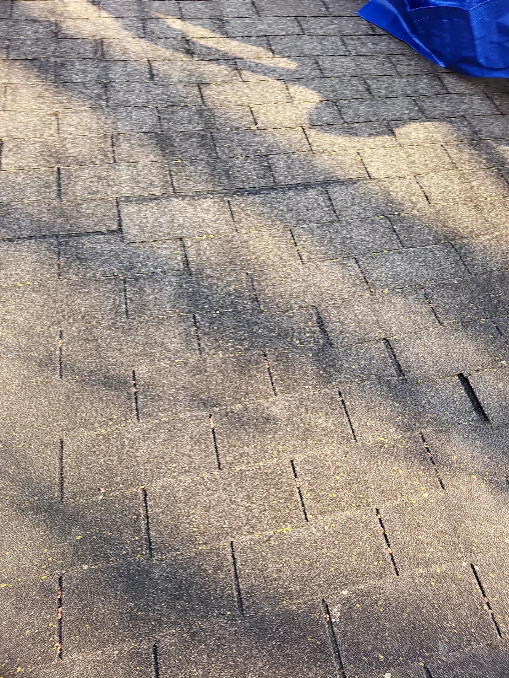 ATLAS PINNACLE HP W/SCOTCHGARD COLOR: SUMMER STORM  by Eagle Eye Roofing