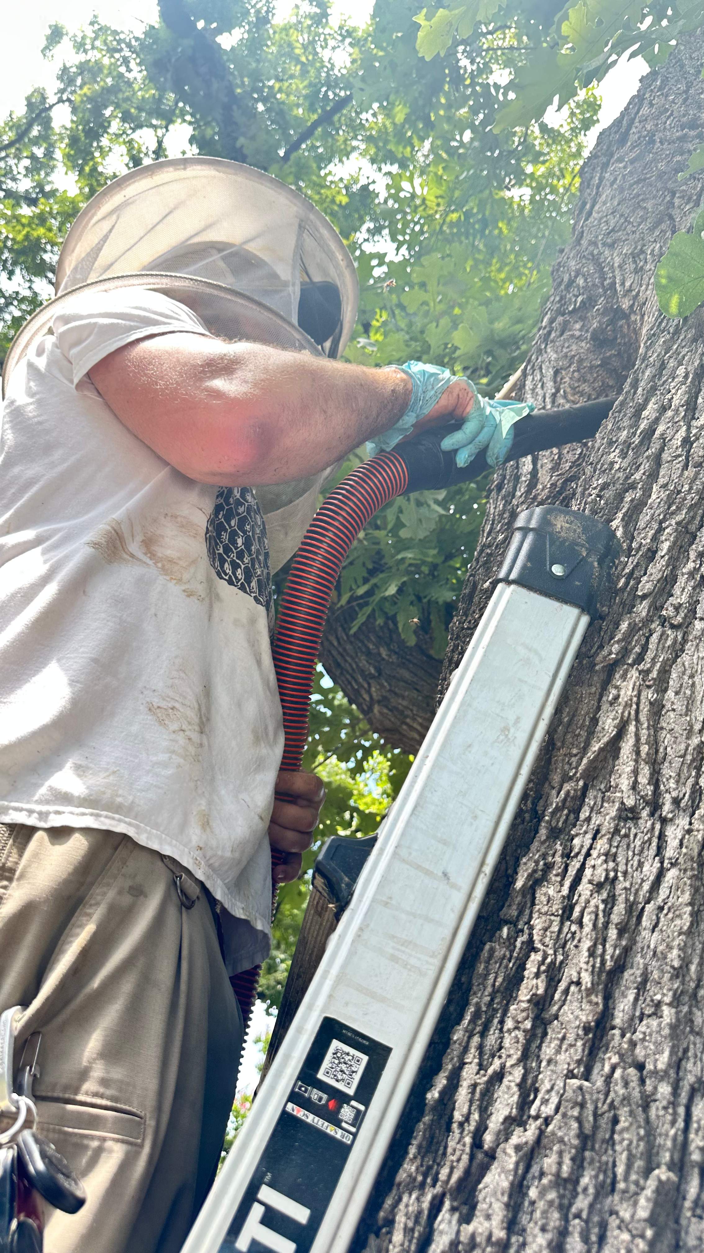 Tight Squeeze by Rockwall Honey Bee Company