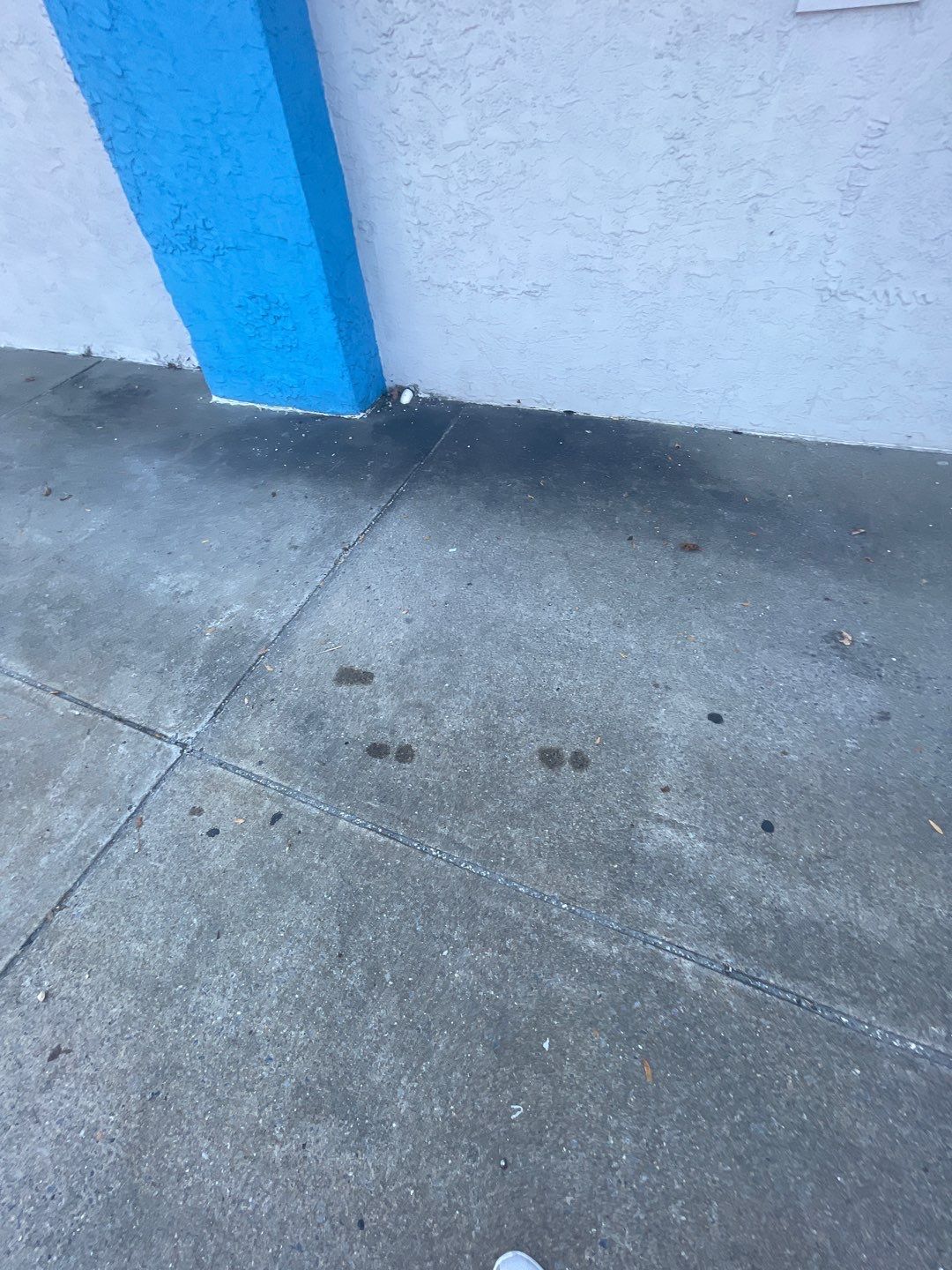 Building SoftWash & Concrete Cleaning by SJ Exterior