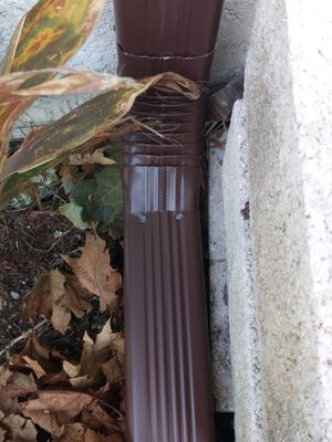 Brown Gutters in Cape Coral FL