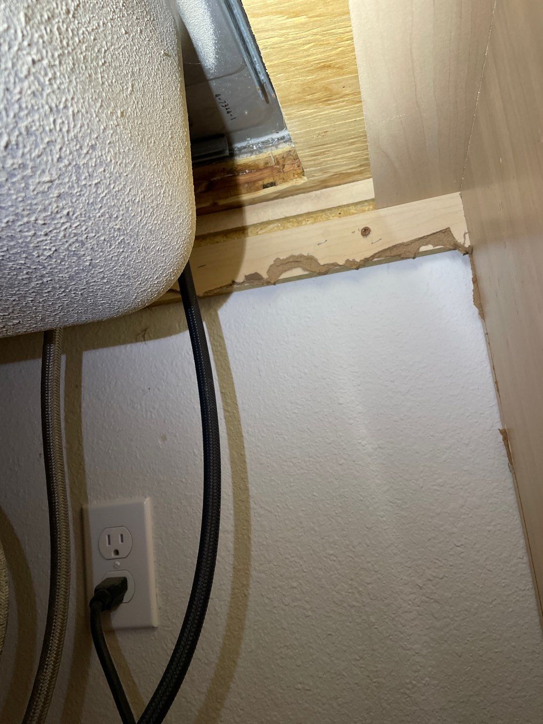 Mold Damage Project in Littleton by Accountable Home Services